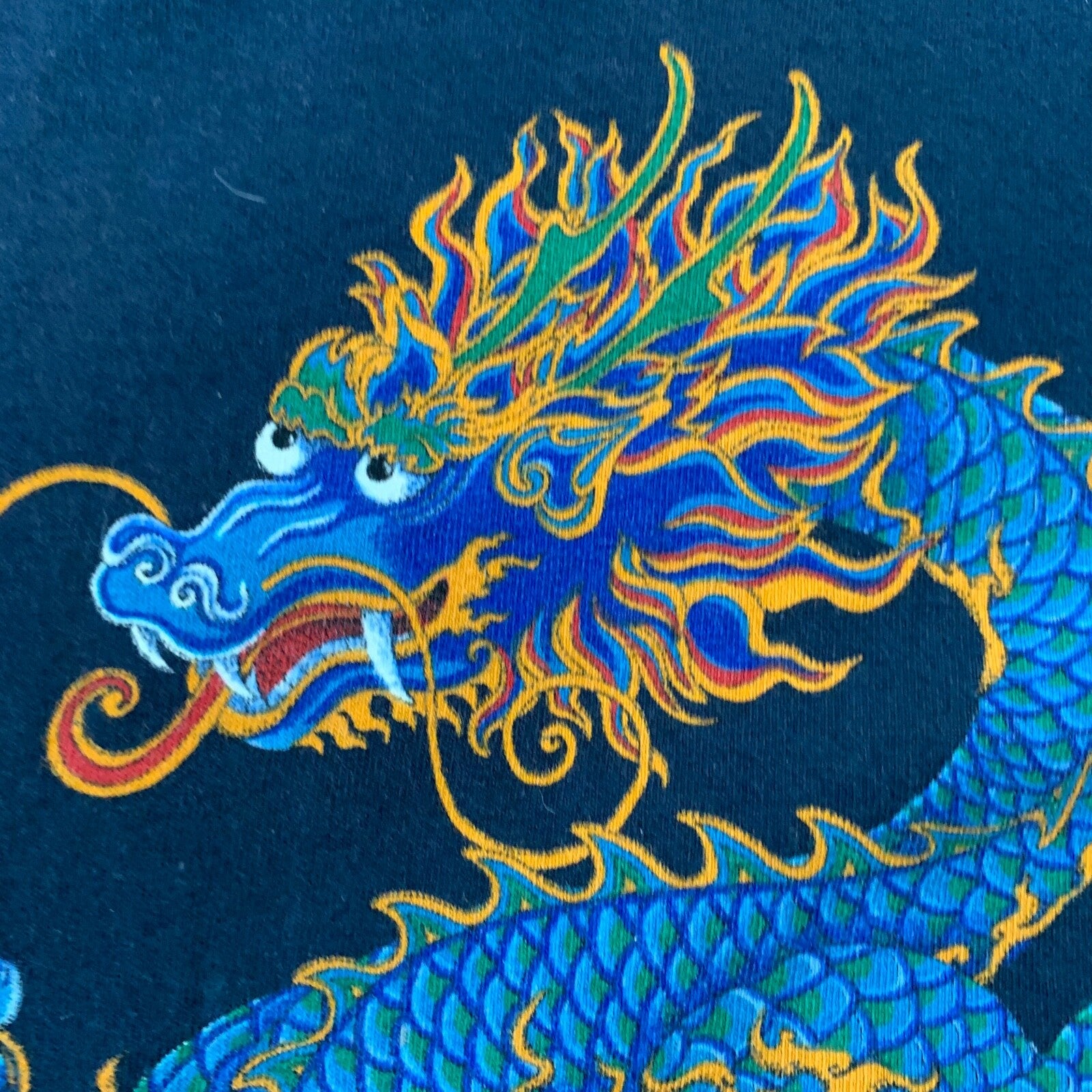 Dragon Portland Art Museum Vintage T Shirt Art Geisha Rap Picasso Rare 90s Band