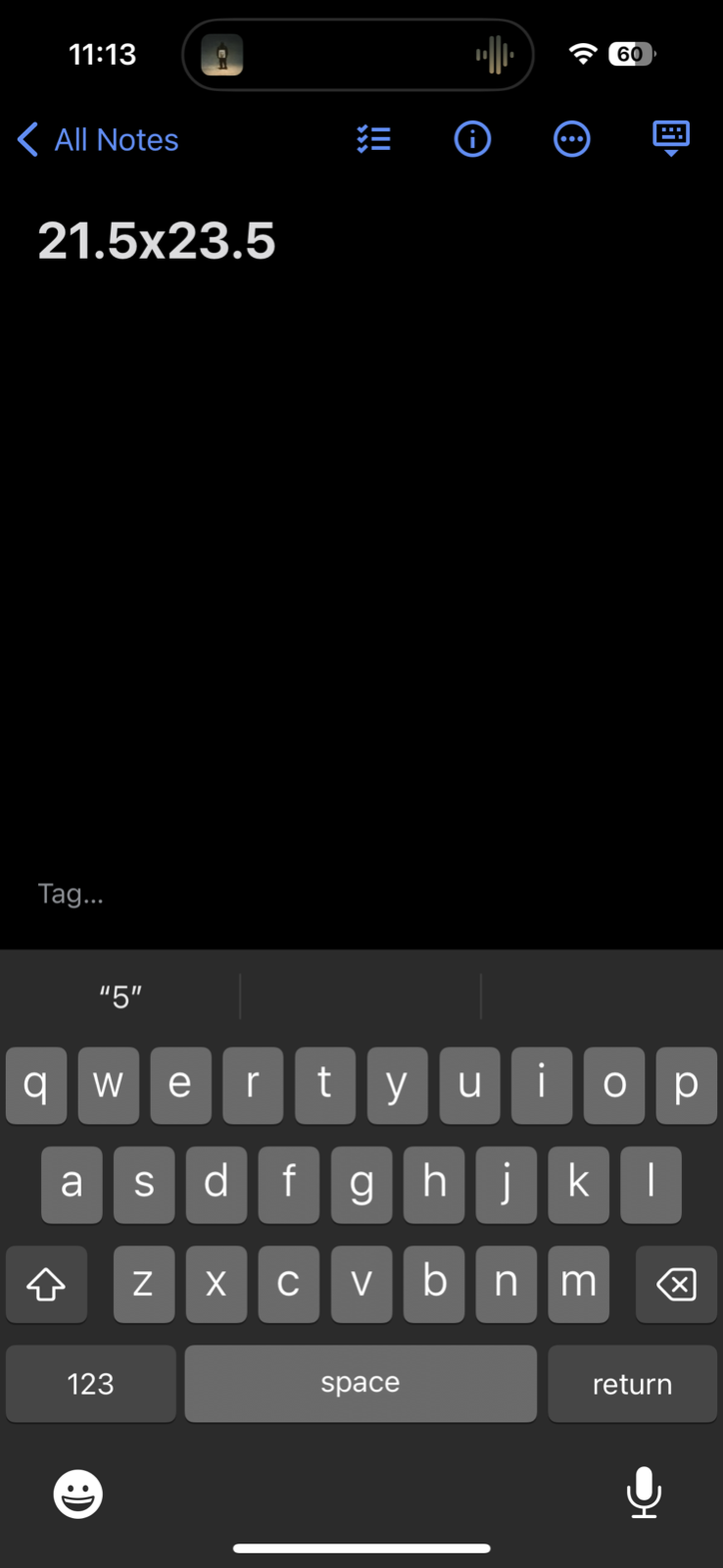 Oregon Champion 80s Ringer Fair Run VTG T Shirt 1980s Sun Fun Graphic XL Cool