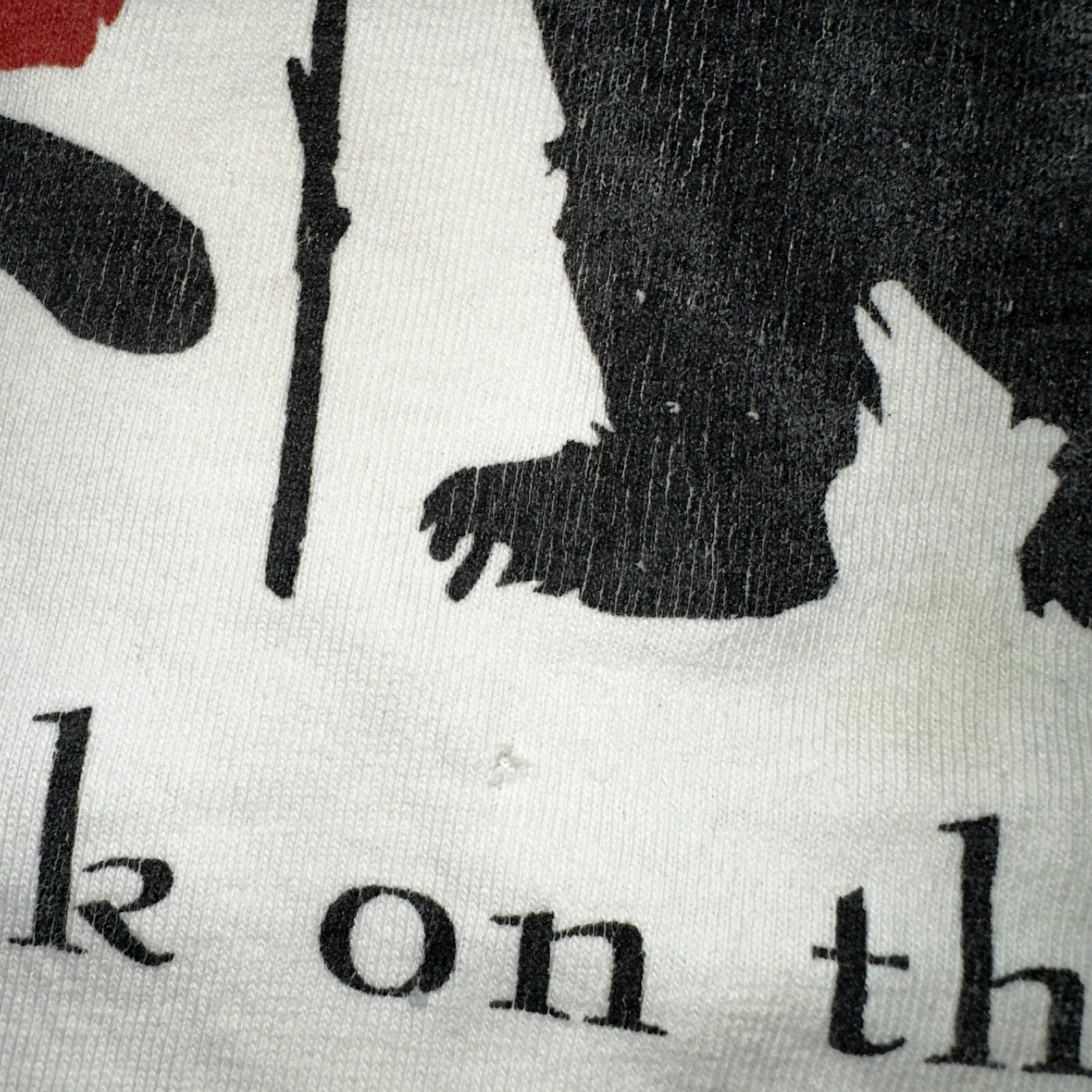 VTG Y2K Adirondack Mountains Walk On The Wild Side T Shirt XL Animals Lot 2