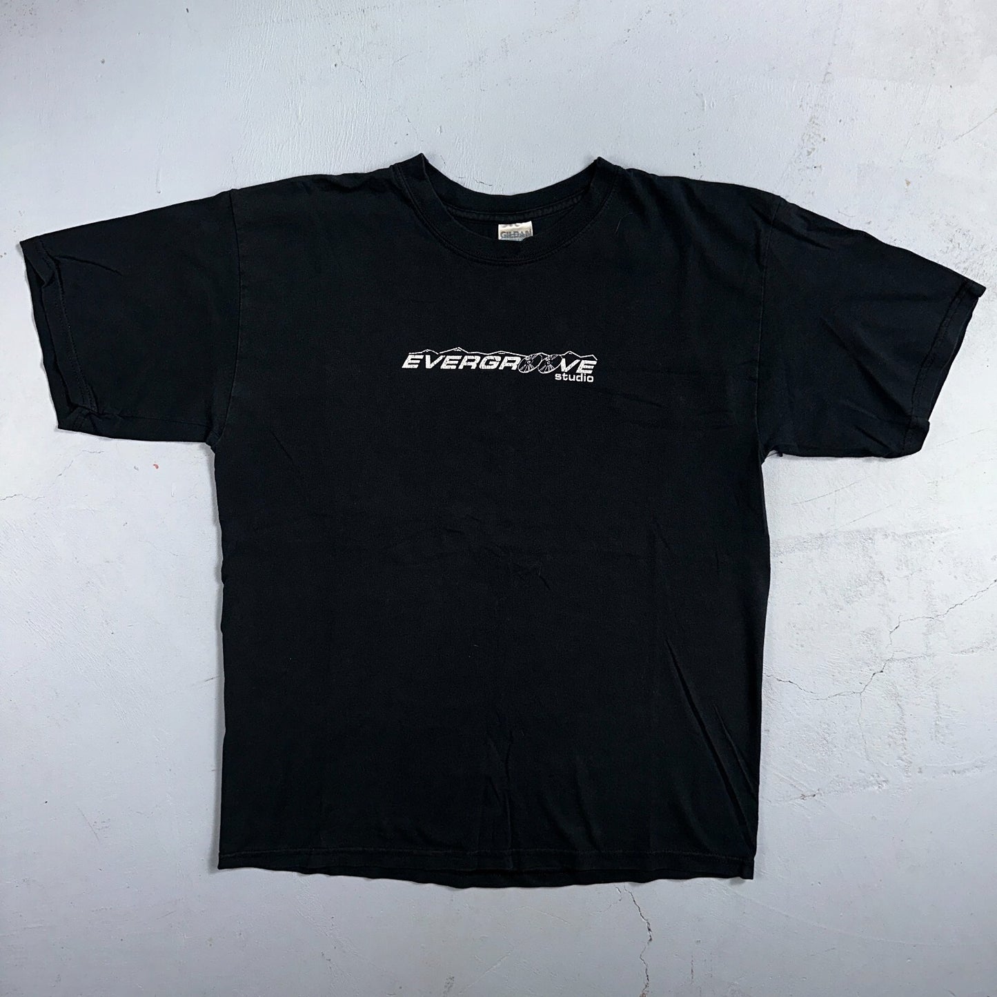 Evergroove Studios Rare Y2K VTG T Shirt Colorado Music Band Production Grammy