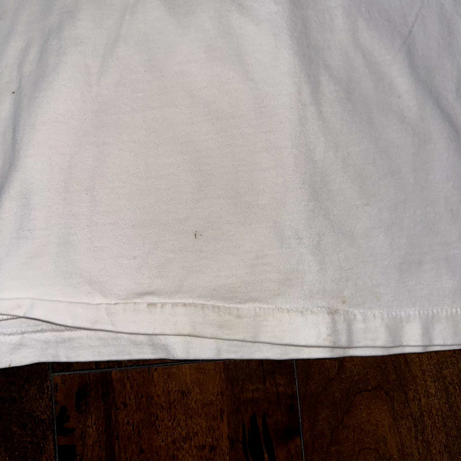 Terra Nova Vintage T Shirt Willamette University Salem Oregon Theatre Music Art