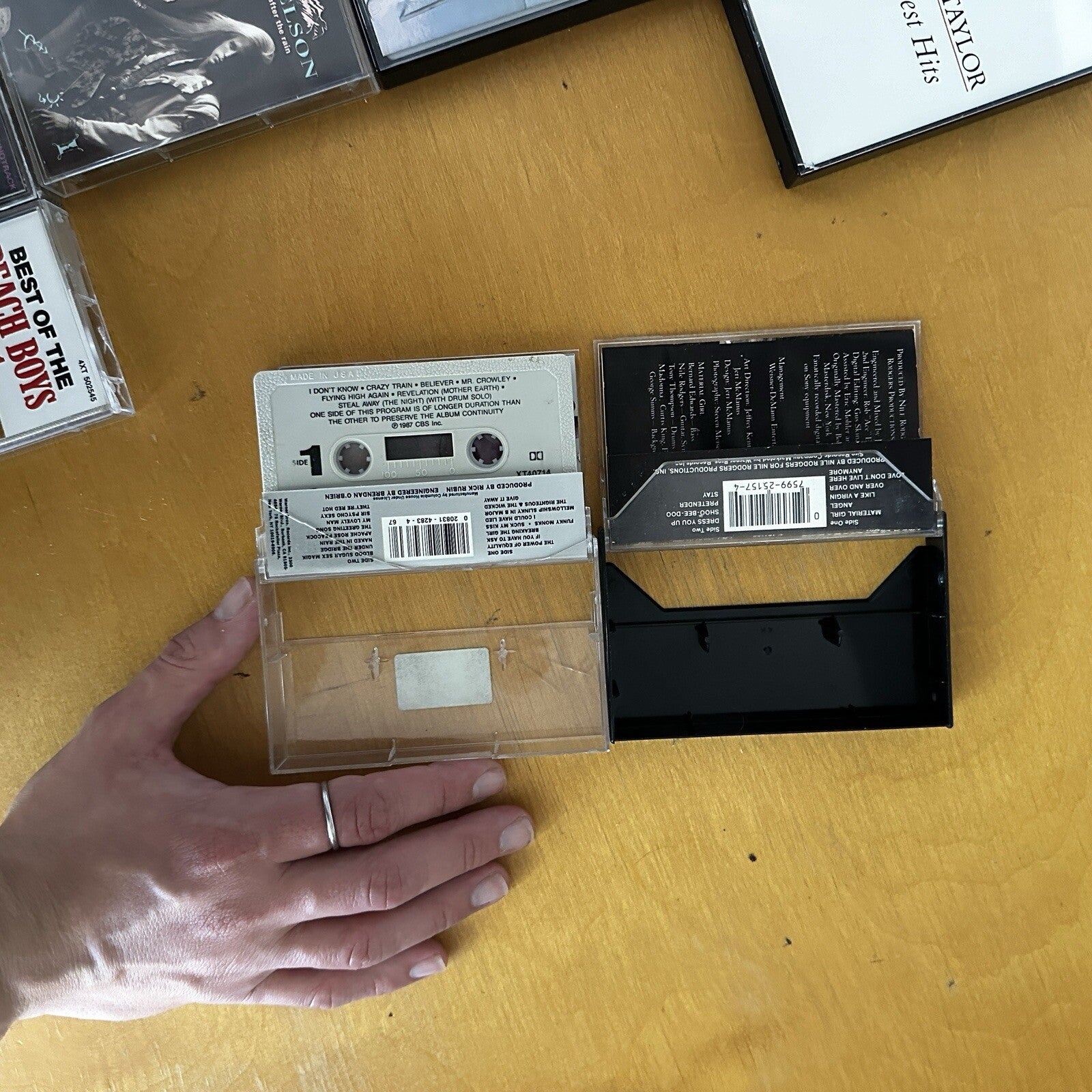 Lot Of 26 Random Cassette Tape Lot Music Lover Rock Metal Grunge Beach Boys Cool