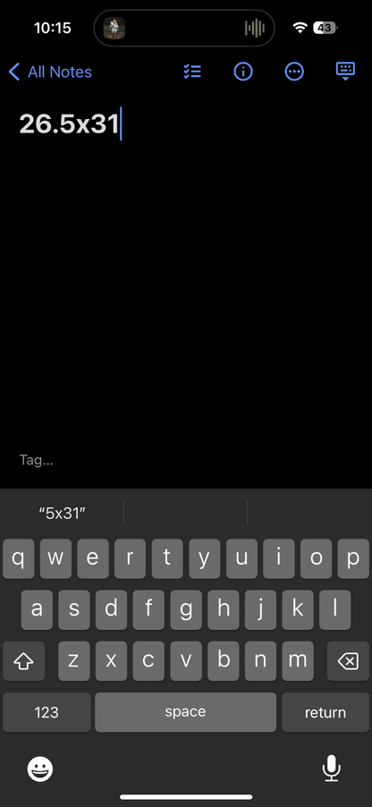 Radio City Music City Hall VTG T Shirt New York City Y2K 2000s Art Band NYC