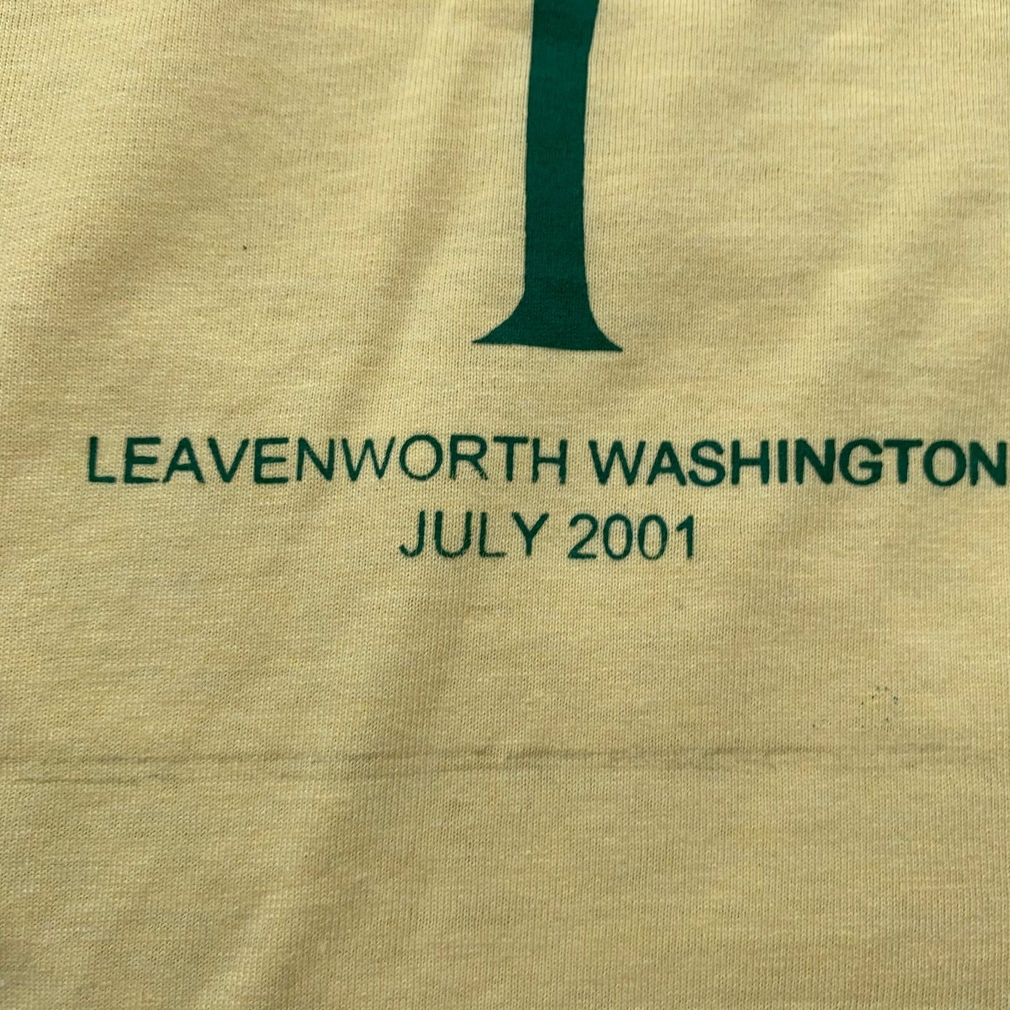 Leavenworth Washington Vintage T Shirt Seattle July 2001 Y2K Fletcher Reunion 