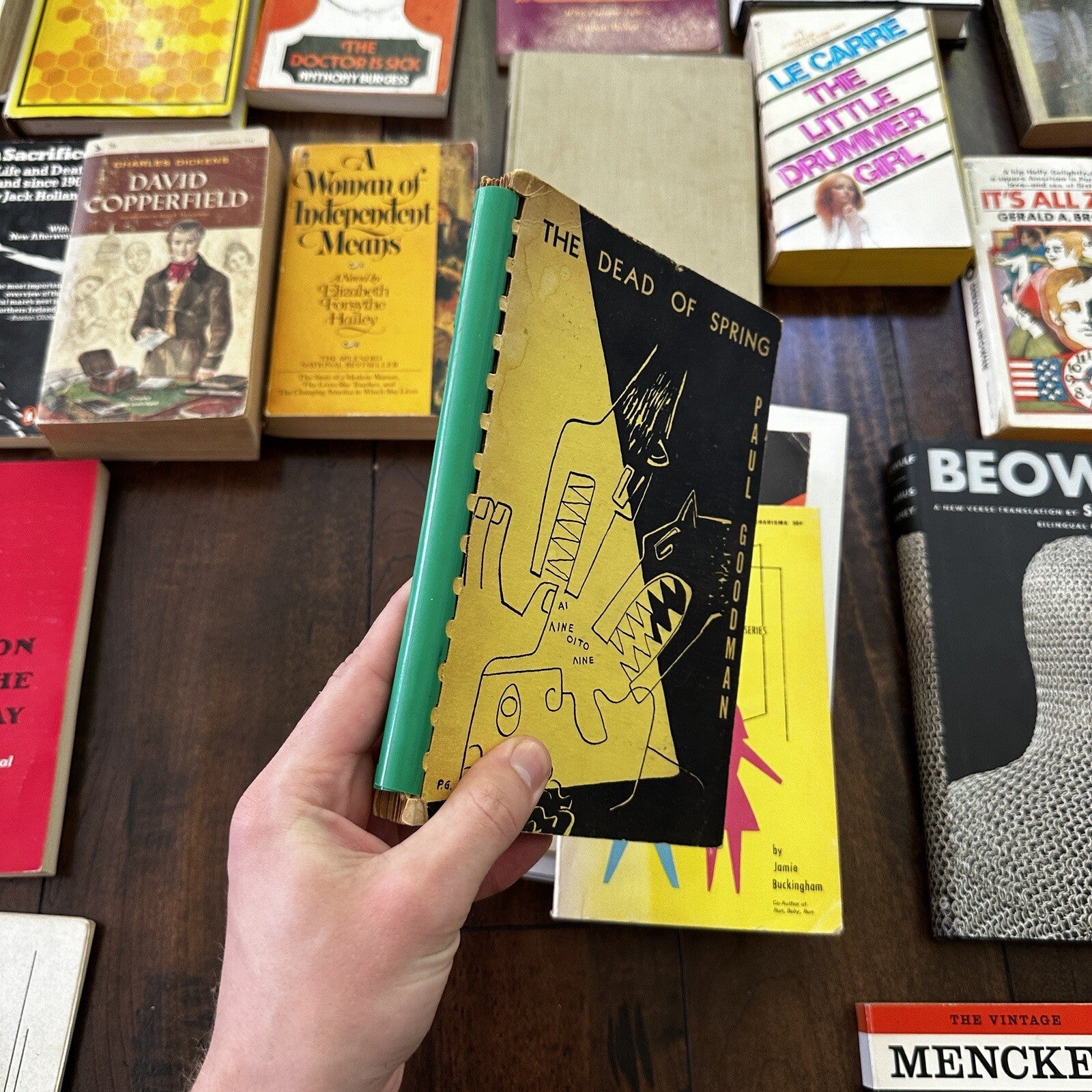 Lot 36 Cool Old Vintage Antique Rare Hardcover Random Books Green Coffee Table