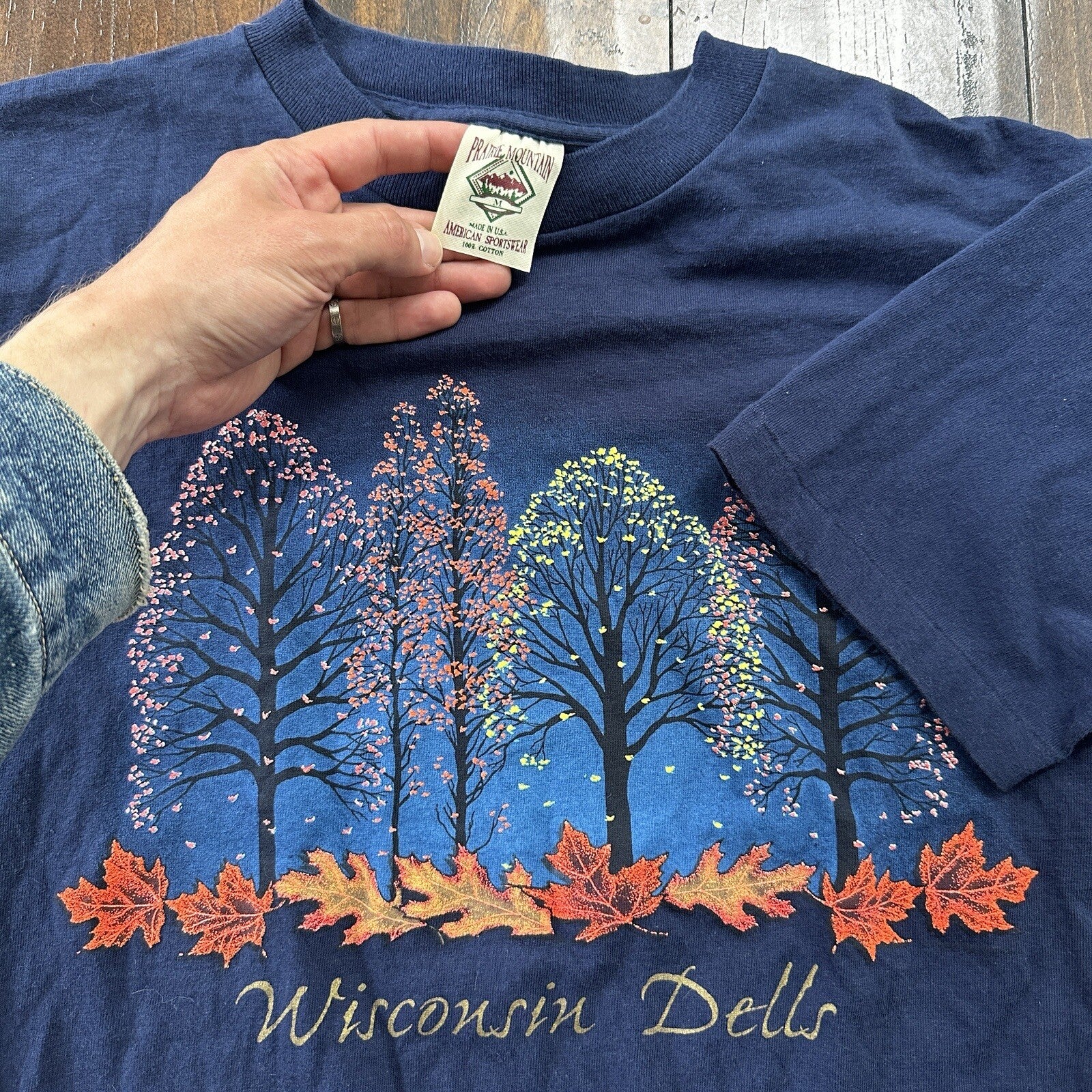 Wisconsin Dells Vintage 90s T Shirt Single Stitch City Town Autumn Fall Cozy Rap