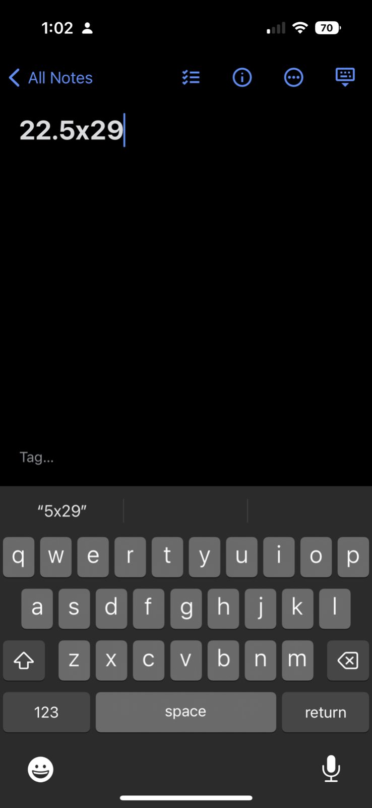 Oregon Silverton Vintage T Shirt Yellow Blank Front Jubilee Sports Hanes 80s