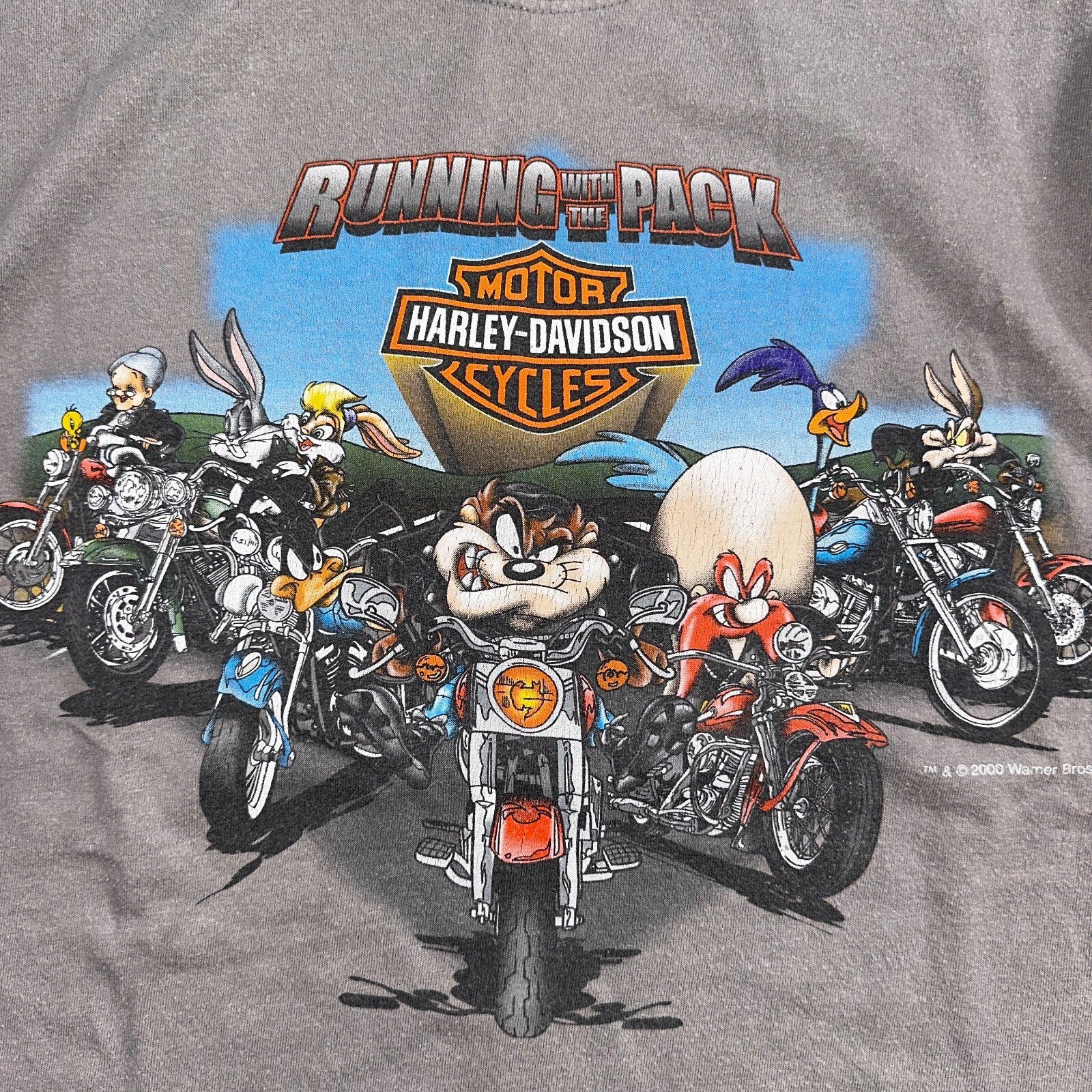 Harley Davidson Looney Tunes Y2K VTG T Shirt Biker York Pennsylvania 2000 Art