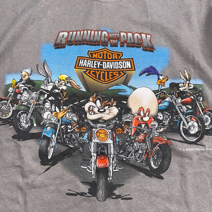 Harley Davidson Looney Tunes Y2K VTG T Shirt Biker York Pennsylvania 2000 Art