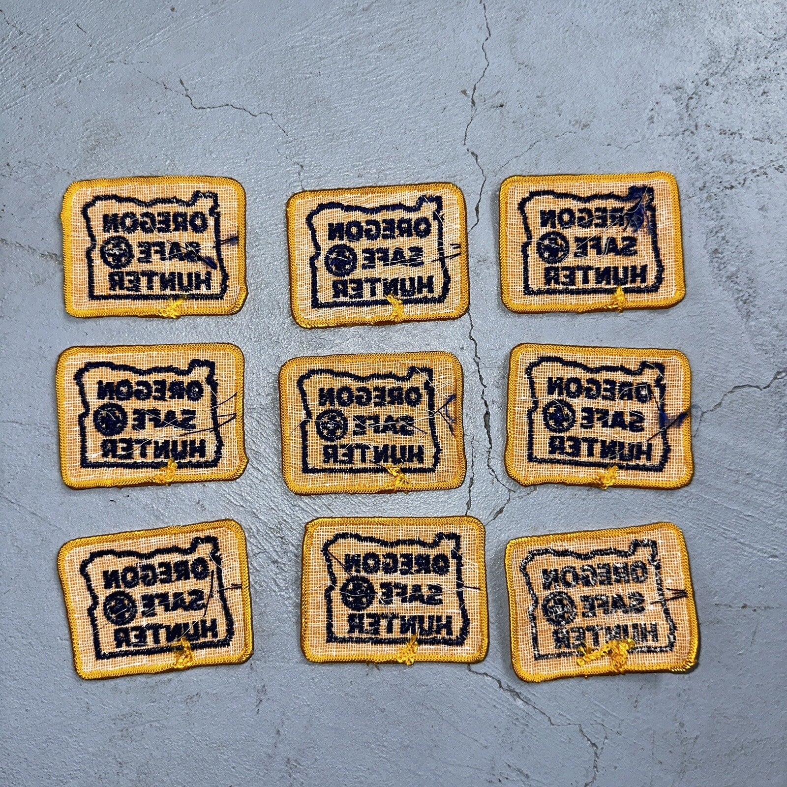 OREGON SAFE HUNTER Patch Badge VTG Insignia 1960s Hunting Qualification Rare Lot