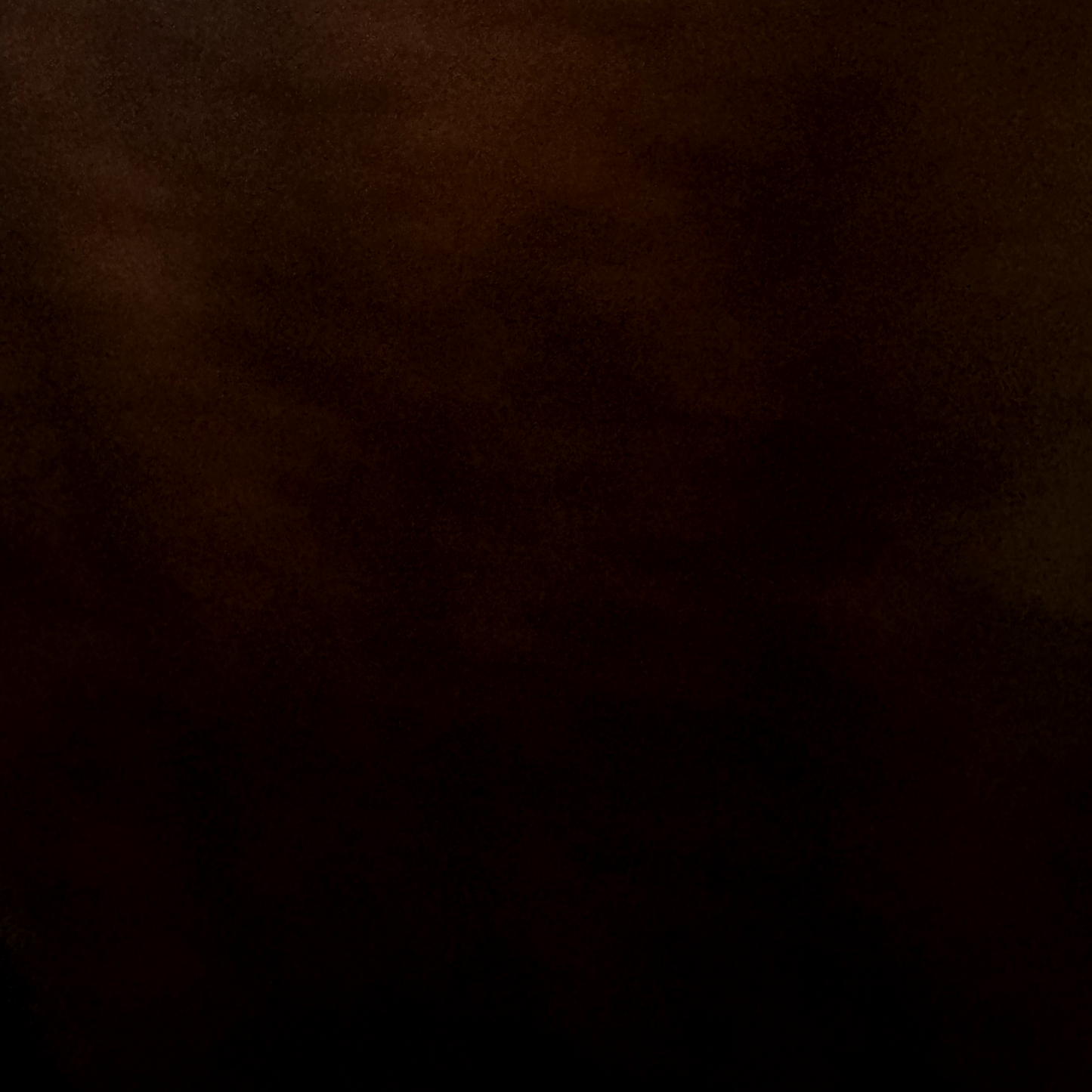 AFGE Vintage T Shirt Oregon Washington Running Local 3937 Gray Single Stitch