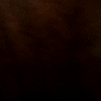 AFGE Vintage T Shirt Oregon Washington Running Local 3937 Gray Single Stitch