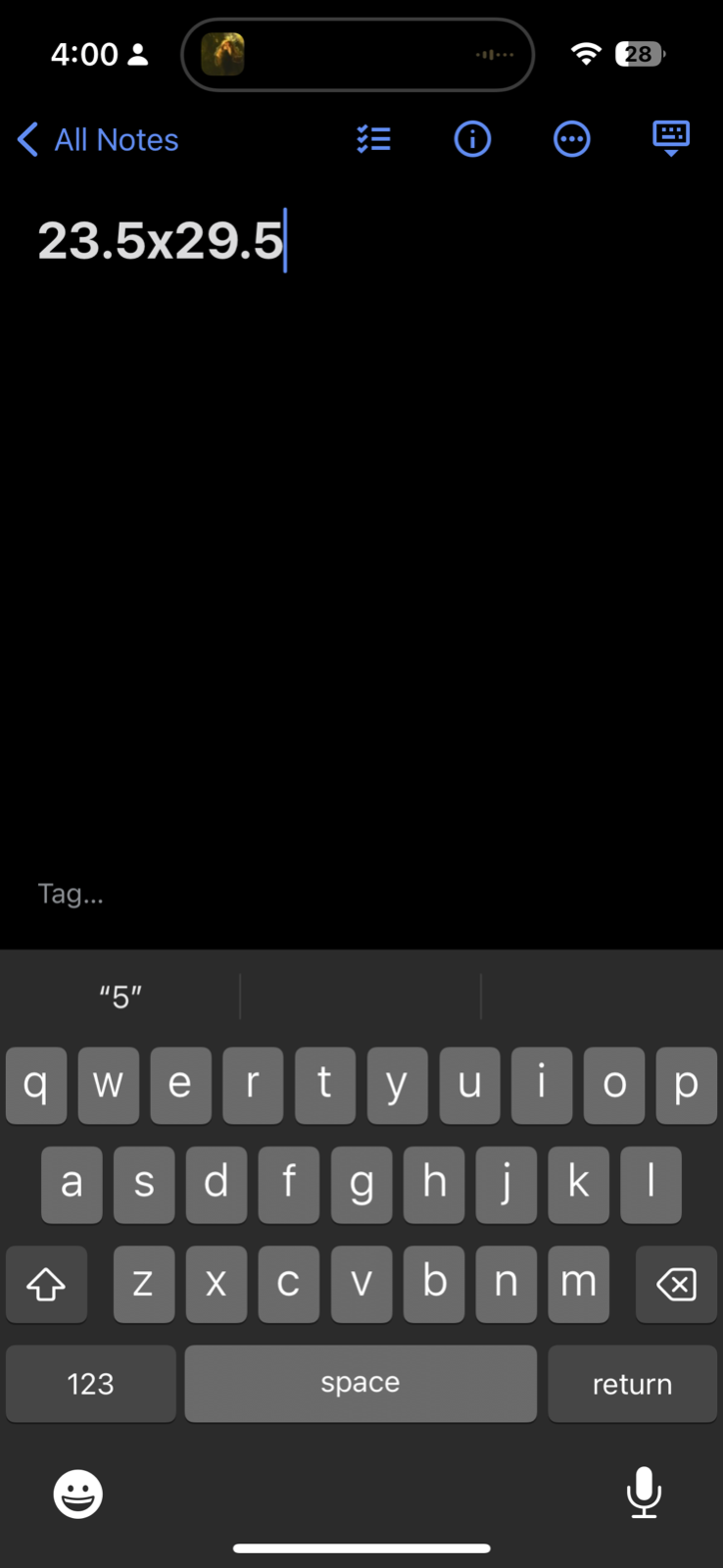 Hump Day Vintage T Shirt Camel Tye Dye Mountain XL Y2K Funny Humor Cute Animal