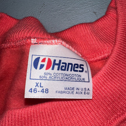 Hanes VTG Catch The Wind Crew Neck Sweatshirt Central Oregon 80s Pink XL