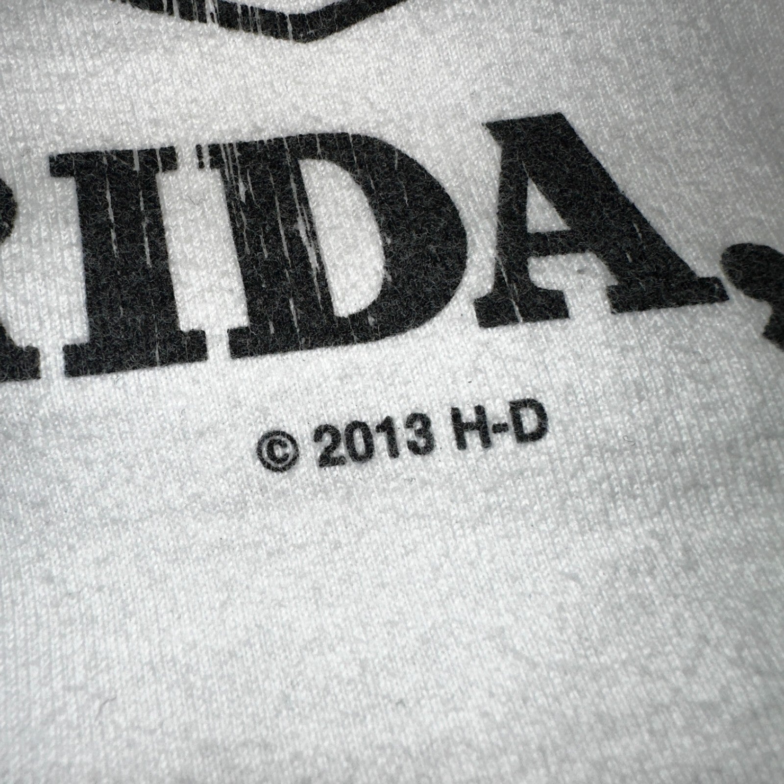 Harley Davidson Orlando Flordia VTG T Shirt Motorcycle Bike Graphic Y2K Ride