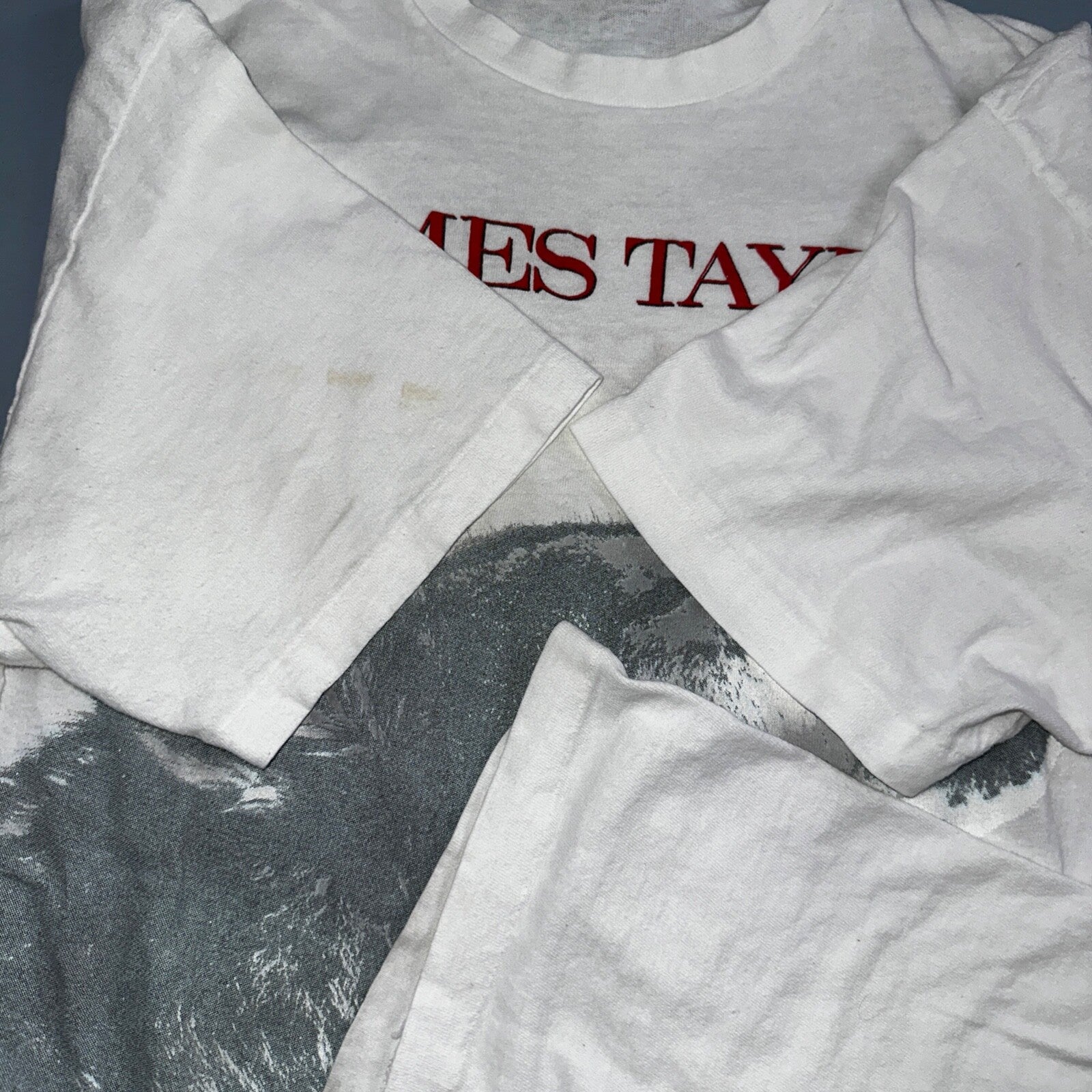 James Taylor Never Die Young VTG T Shirt 80s Hanes XL Howling Wolf RARE Concert