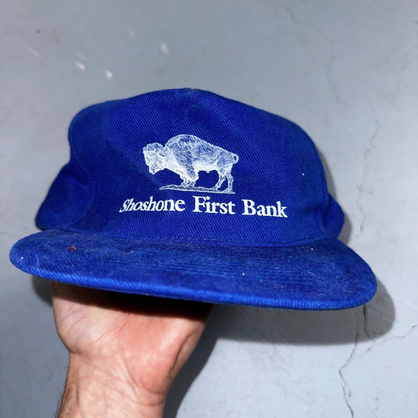 Shoshone First Bank VTG Hat Cap Snapback Buffalo Otto Blue Animals Love Cool
