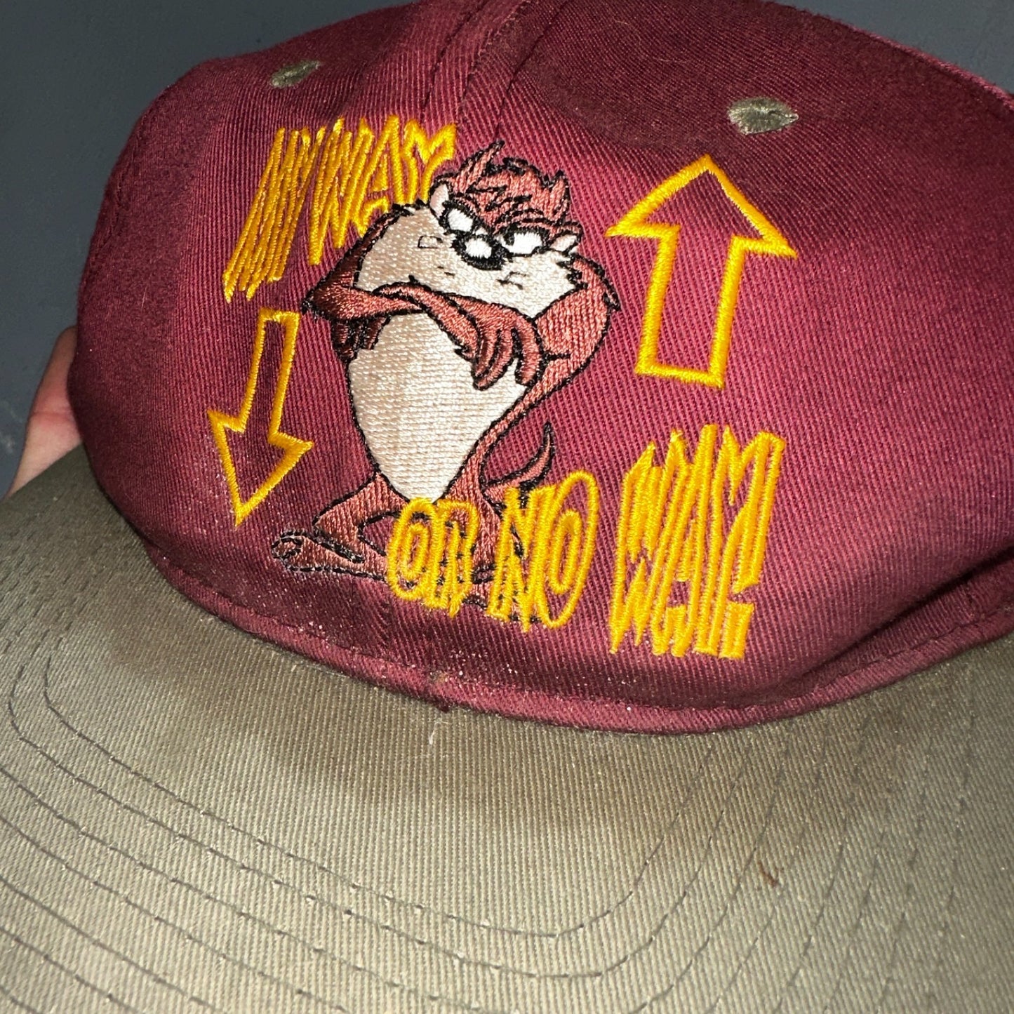 Vintage Taz Looney Tunes Hat My Way or No Way 90s Snapback Cap Warner Bros