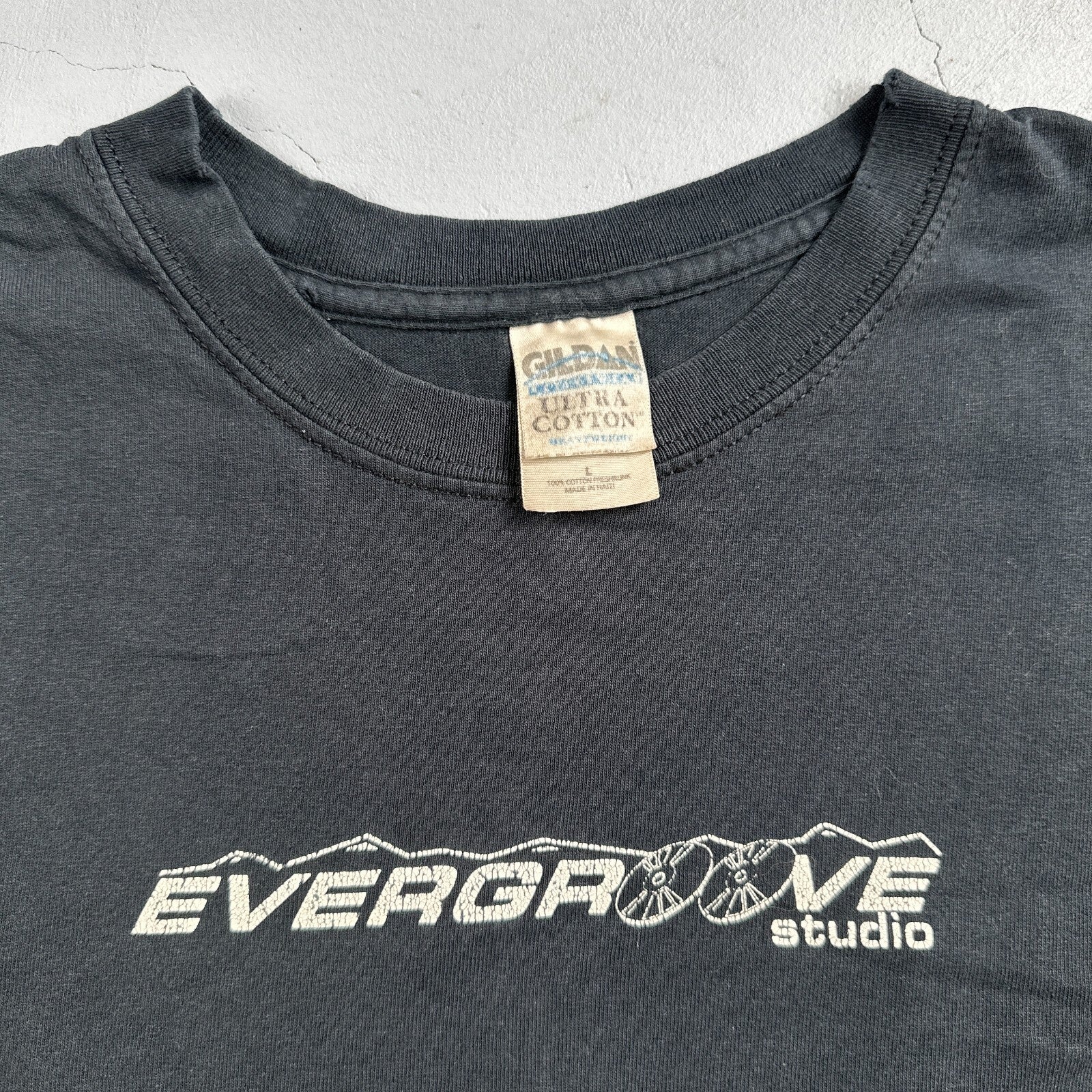 Evergroove Studios Rare Y2K VTG T Shirt Colorado Music Band Production Grammy