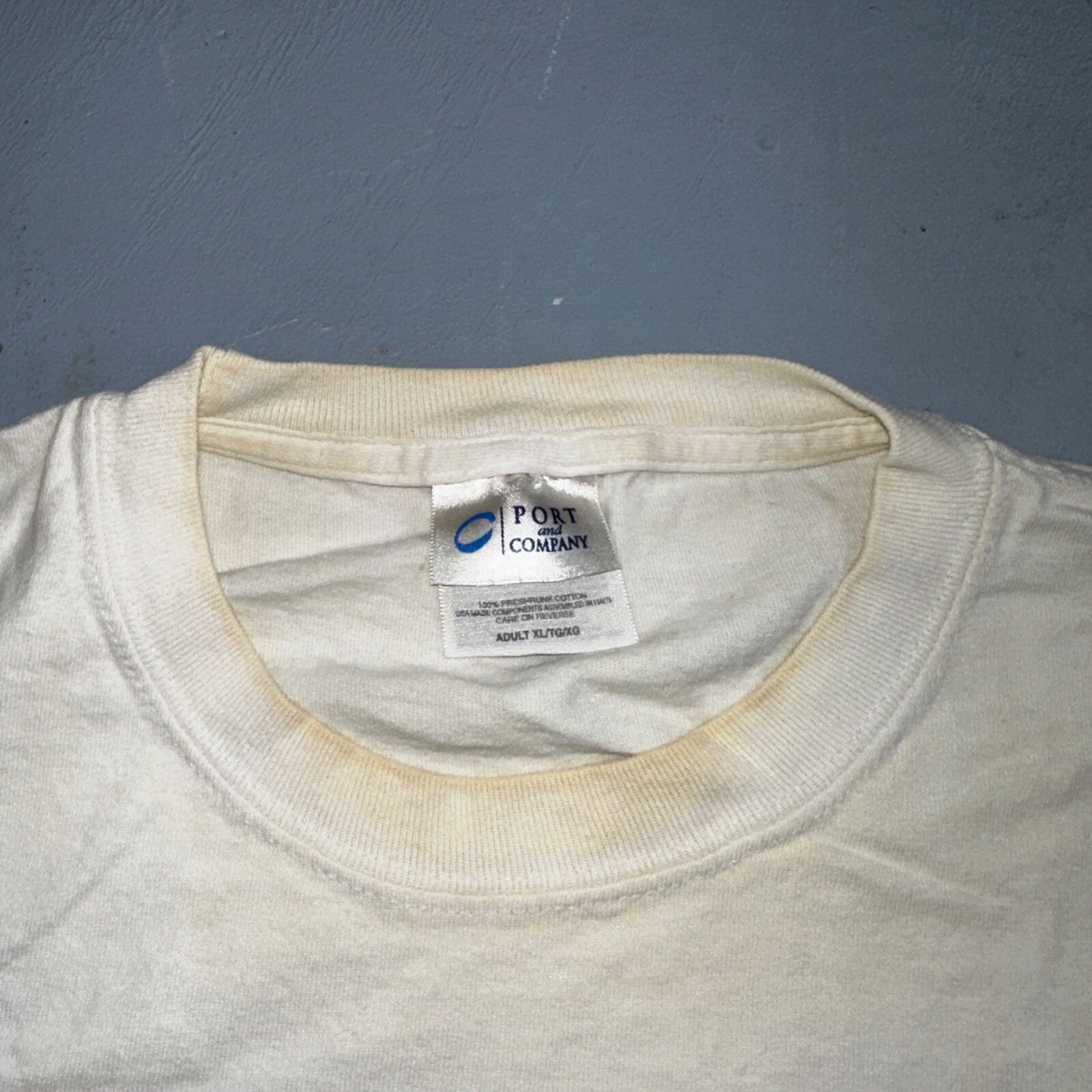 Oregon Trail Van Life 2005 VTG T Shirt Y2K PNW Portland Travel Groupie Spirit