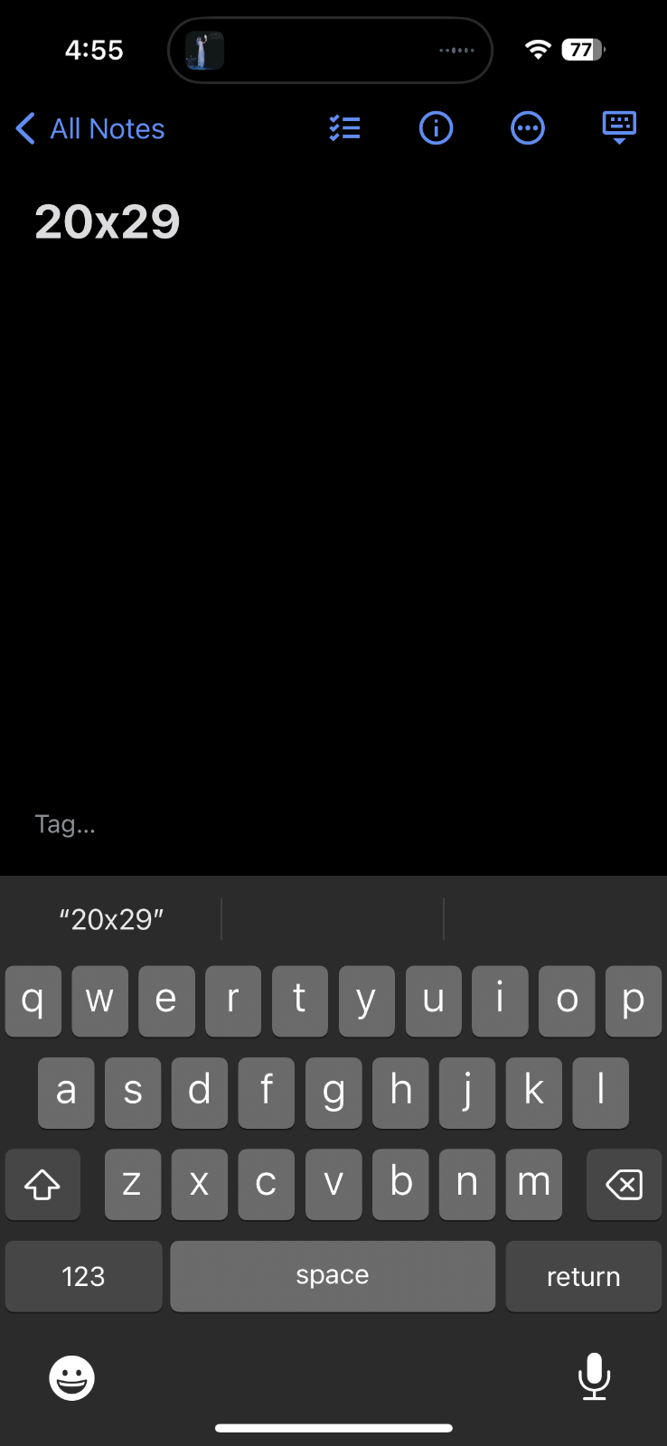 Spud Run USA 1970s VTG T Shirt 70s Rockabilly Hanes America Idaho Streetrod XL