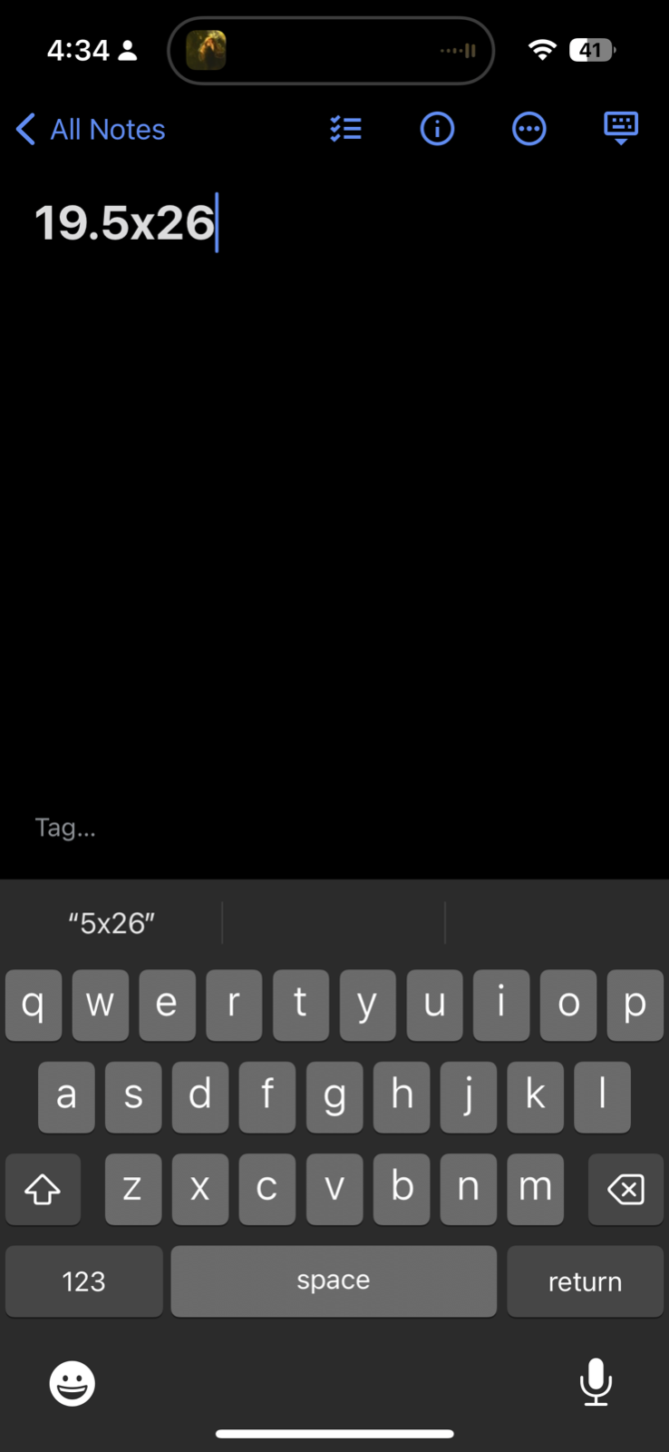 Terra Nova Vintage T Shirt Willamette University Salem Oregon Theatre Music Art