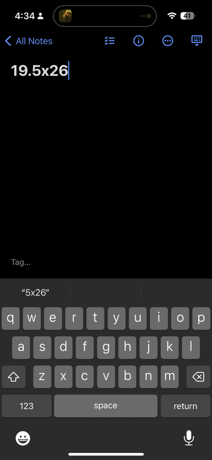 Terra Nova Vintage T Shirt Willamette University Salem Oregon Theatre Music Art