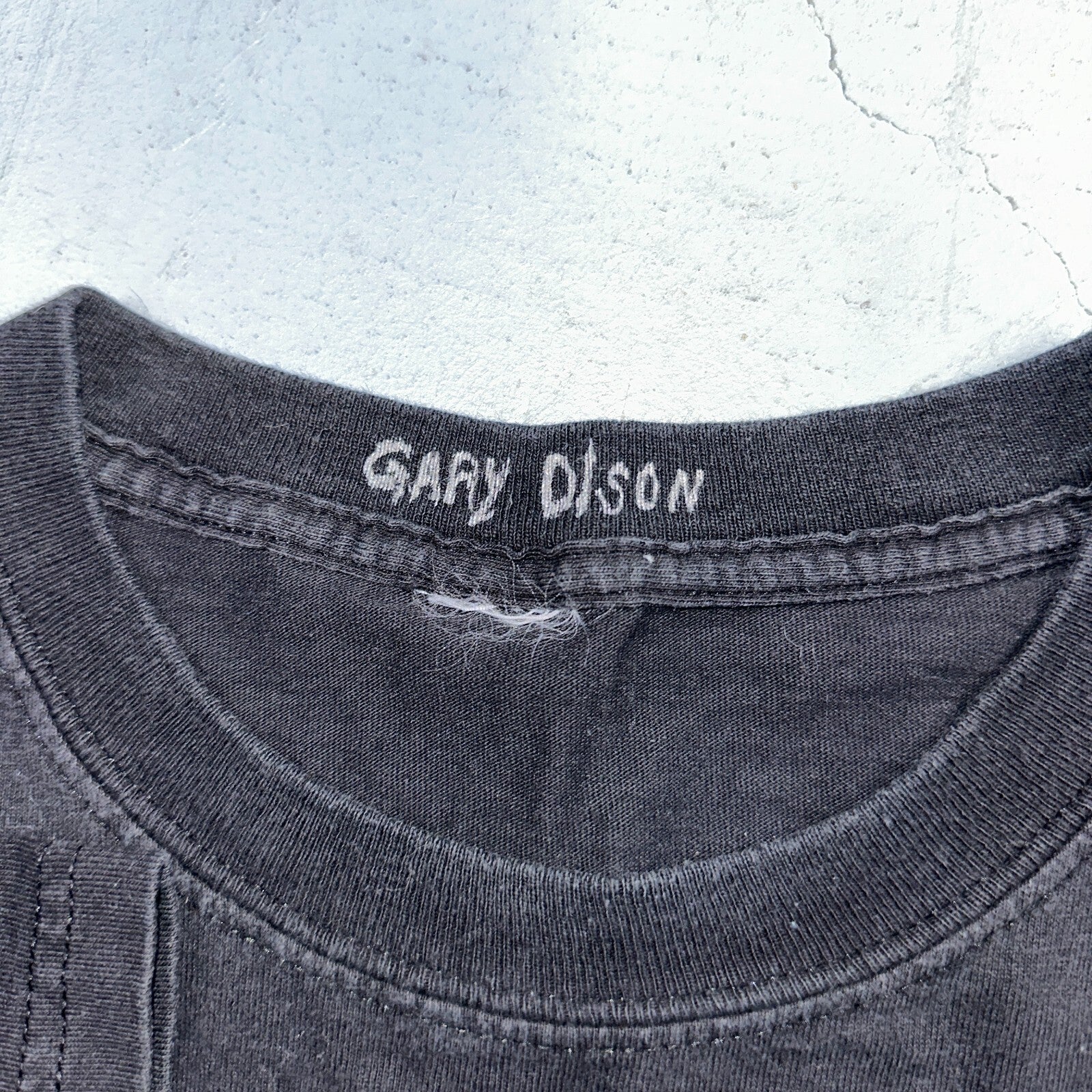 Oregon Eagle VTG T Shirt Forest Hiking USA Travel Portland Animal Hawks Y2K