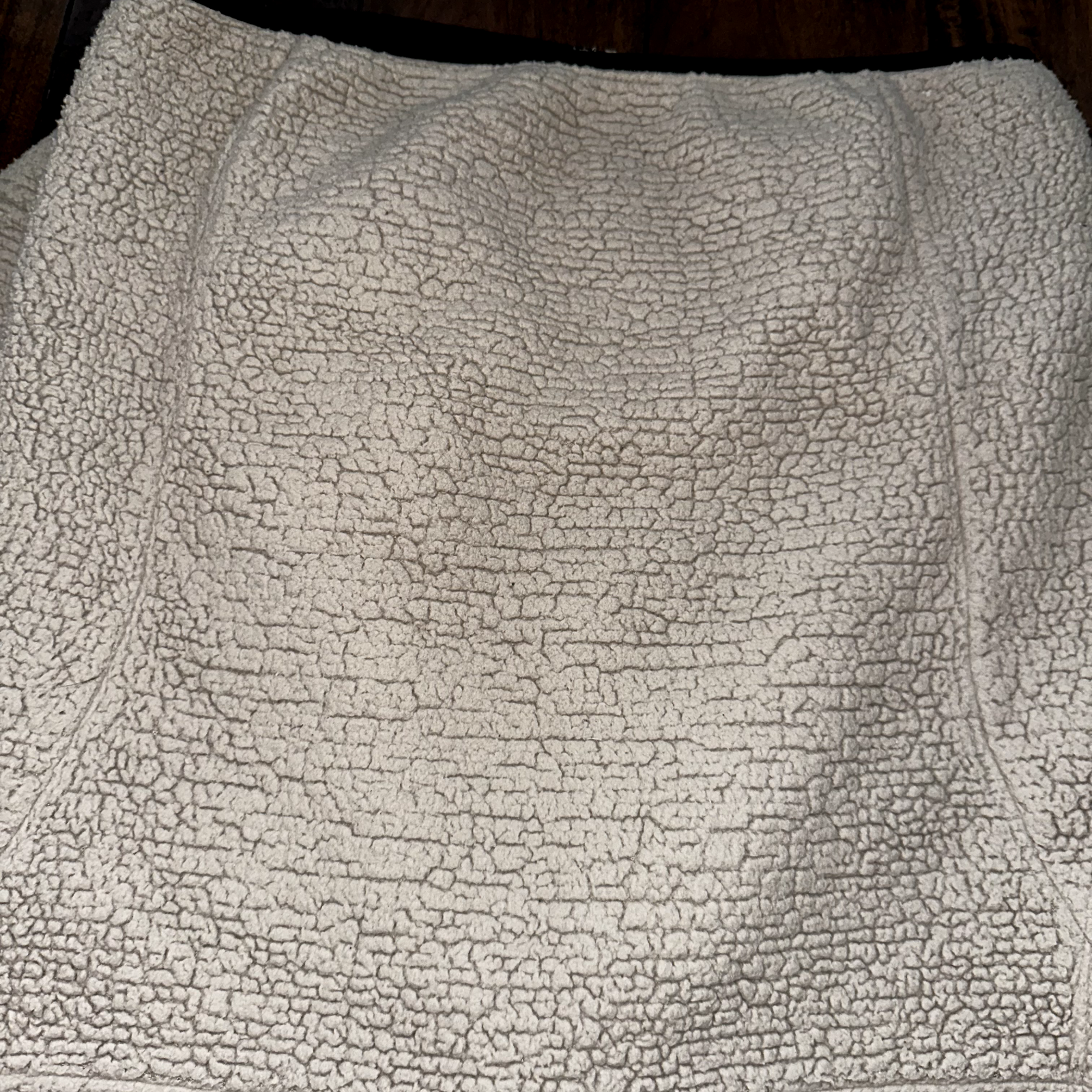 The North Face Jacket Osito Bomber Sherpa Fleece Zip Cozy Soft Coat Oatmeal