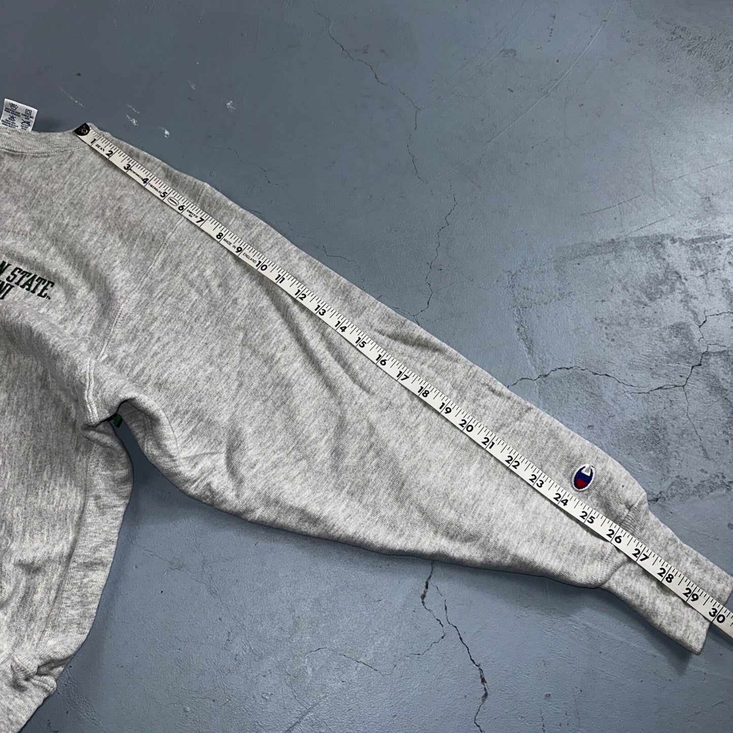 Champion Reverse Weave Vintage Michigan Alumni Sweatshirt M 90s Gray Crewneck