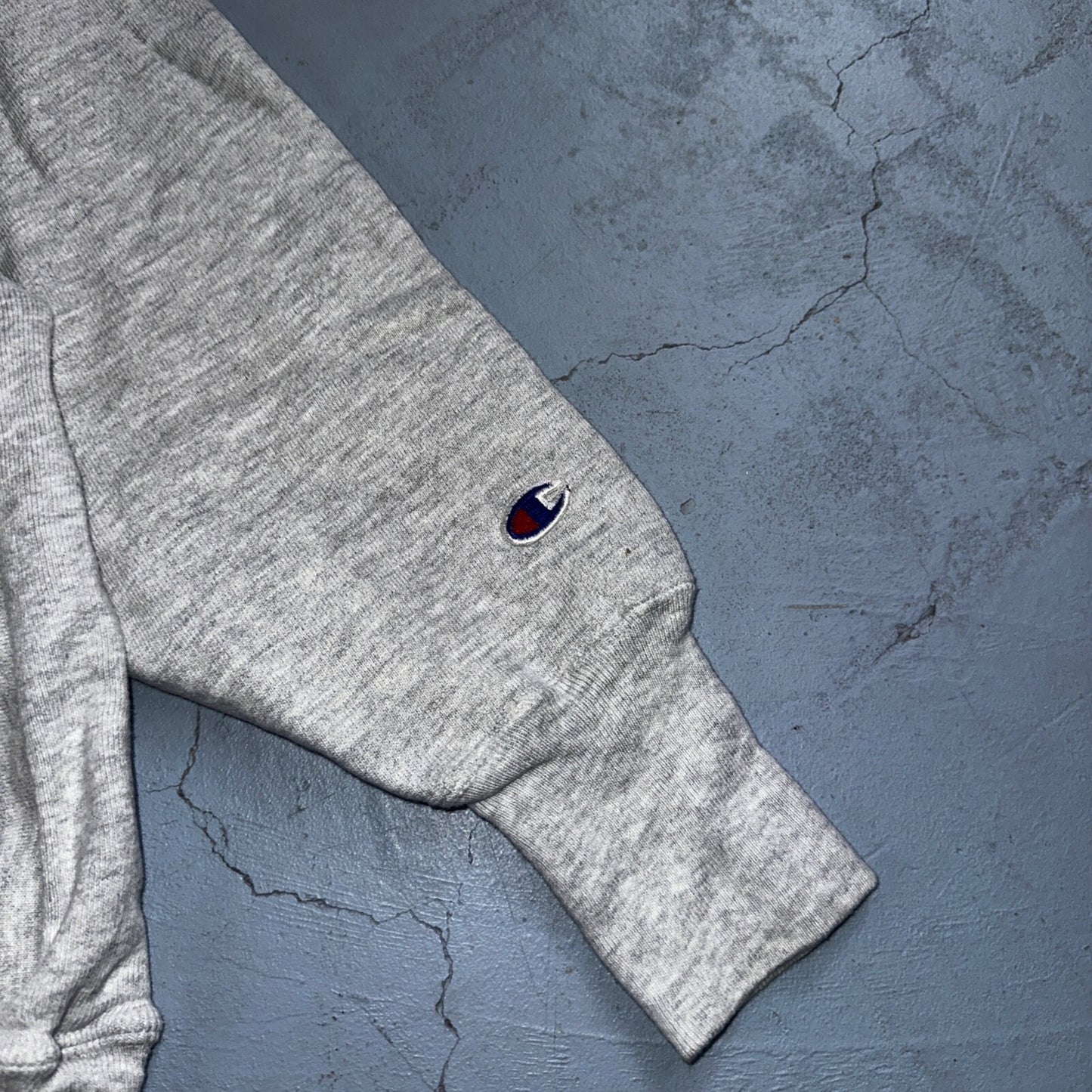 Champion Reverse Weave Vintage Michigan Alumni Sweatshirt M 90s Gray Crewneck