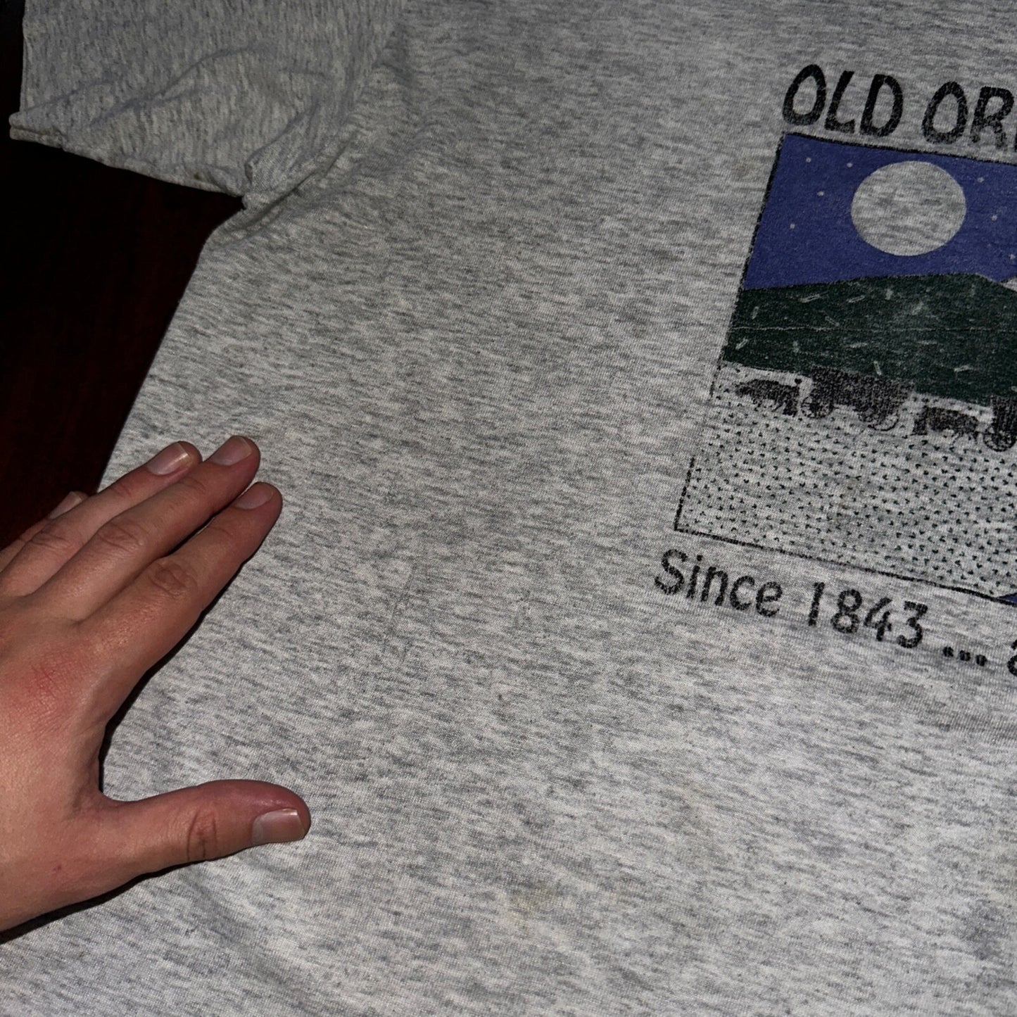 Oregon Trail Moon Howling Wolves Vintage T Shirt Albany Cute Funny Humor Joke