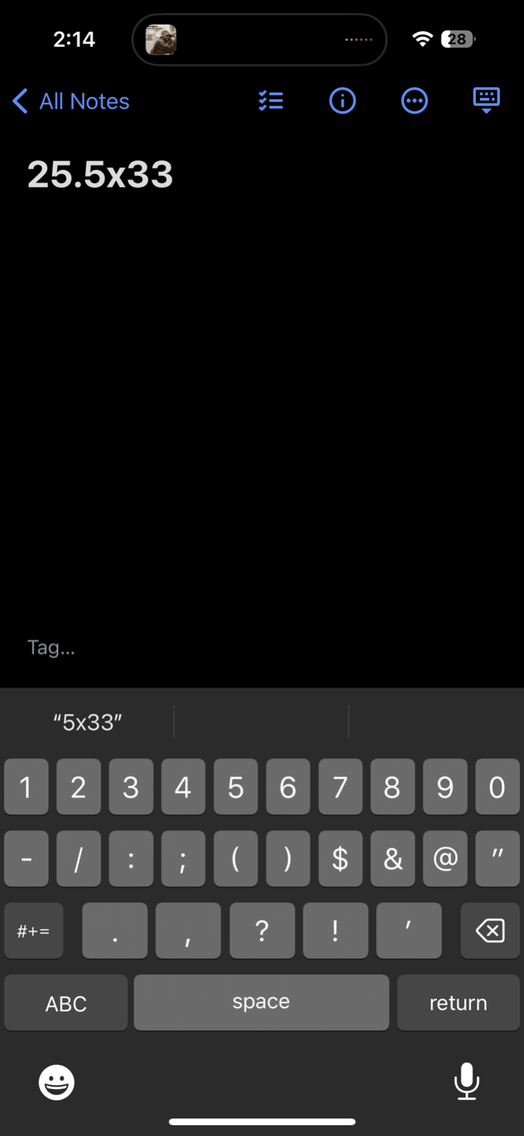 Kaui Hawaii Funny Chicken Cat VTG T Shirt Y2K 2XL Rap Music Quote Hilarious Joke