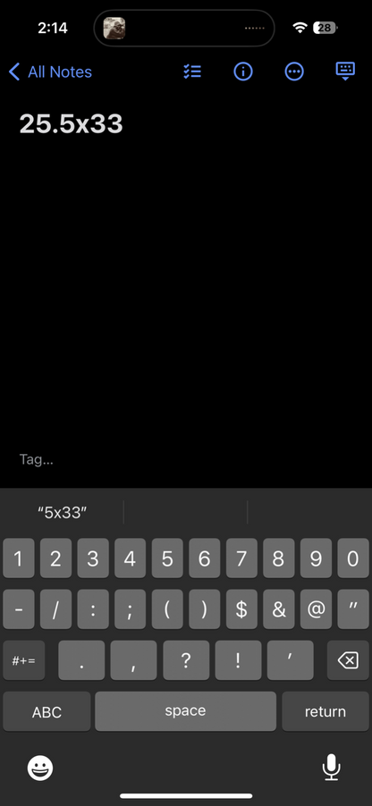 Kaui Hawaii Funny Chicken Cat VTG T Shirt Y2K 2XL Rap Music Quote Hilarious Joke