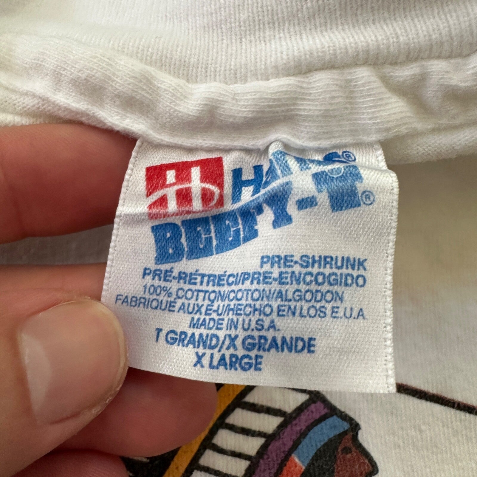 Glacier National Park Montana Hanes XL VTG T Shirt Indian Tribe Native American