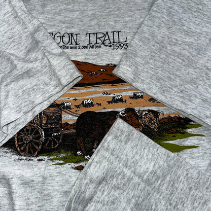 Oregon Trail 90s VTG T Shirt 1993 Gray Single Stitch Travel USA Sunset Rare