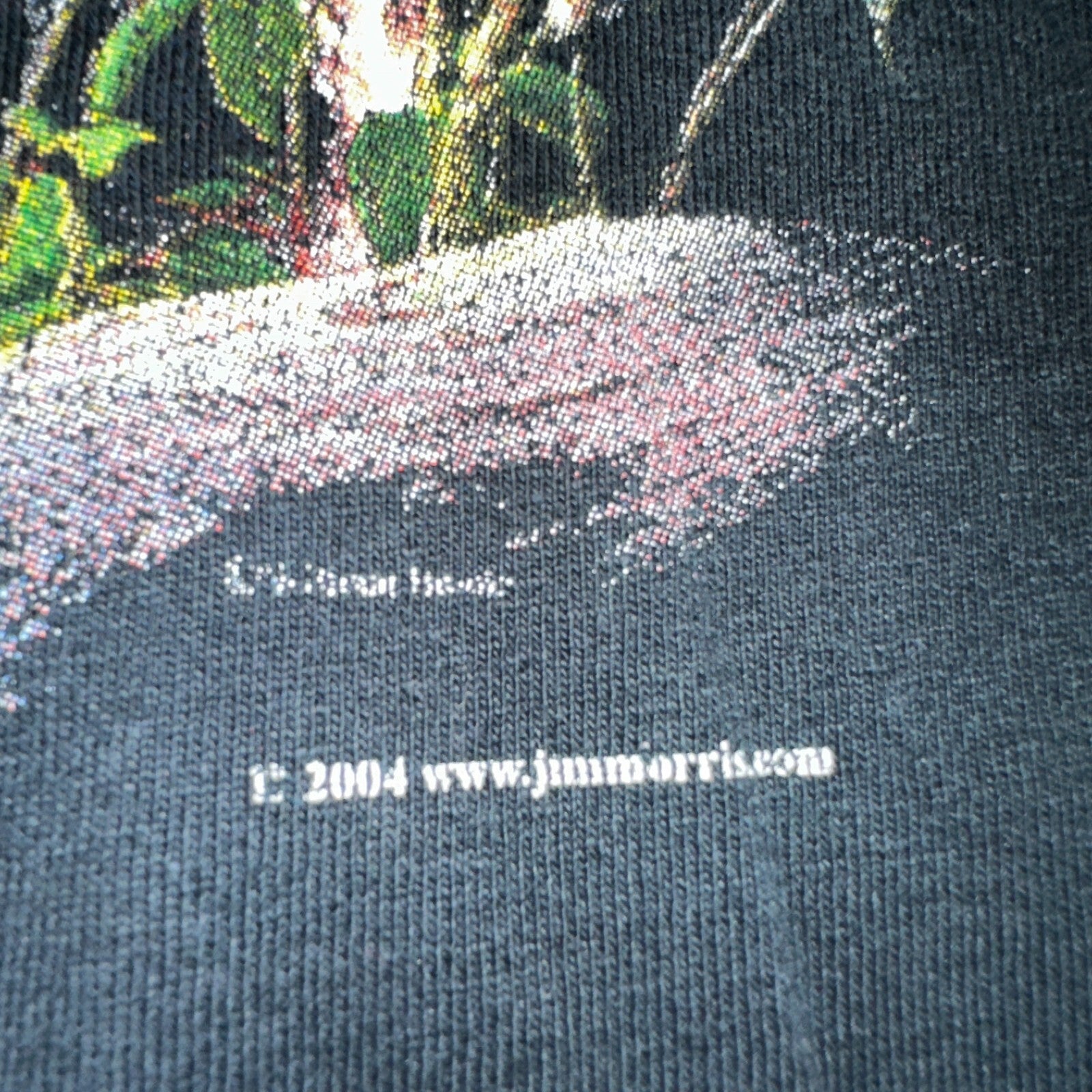 Mountain Lion VTG T Shirt Jim Morris Animal Graphic David Brower Environmental