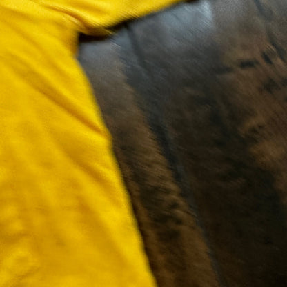 Surfers Catalina Martin 1960s 60s Rockabilly Vintage T Shirt Yellow Gold Blank