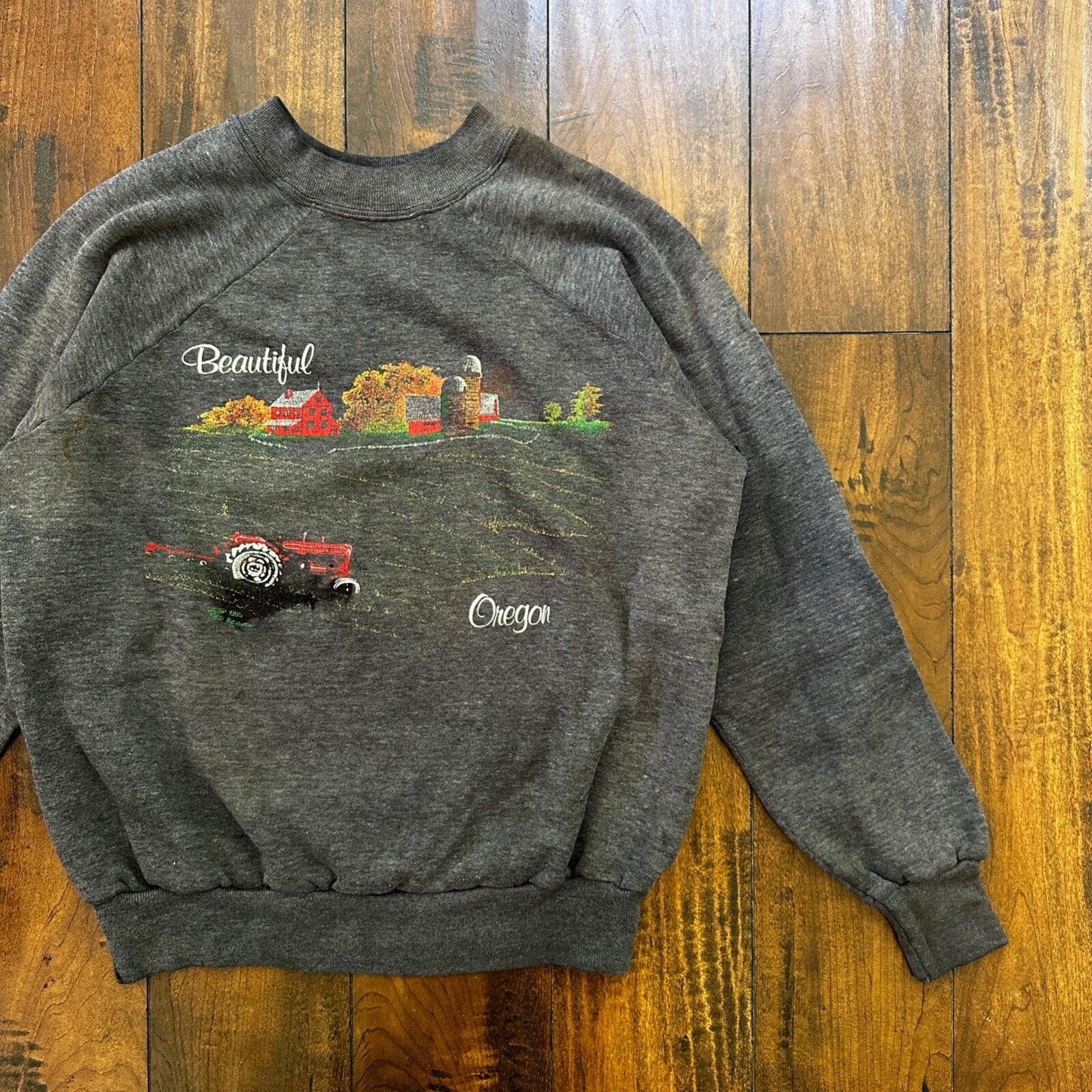 Beautiful Oregon VTG 90s 80s Sweatshirt Crewneck Jumper Gym Farm Land Cool