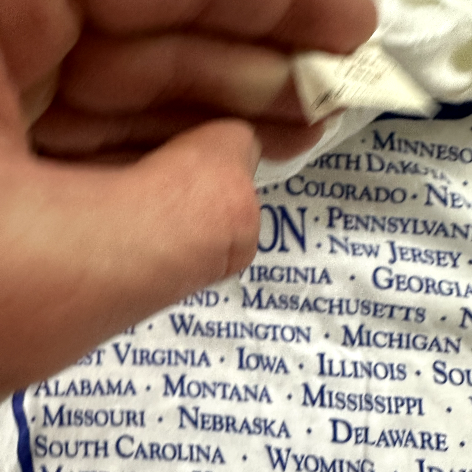 Oregon Trail West Map Vintage T Shirt Single Stitch State USA Cool 80s