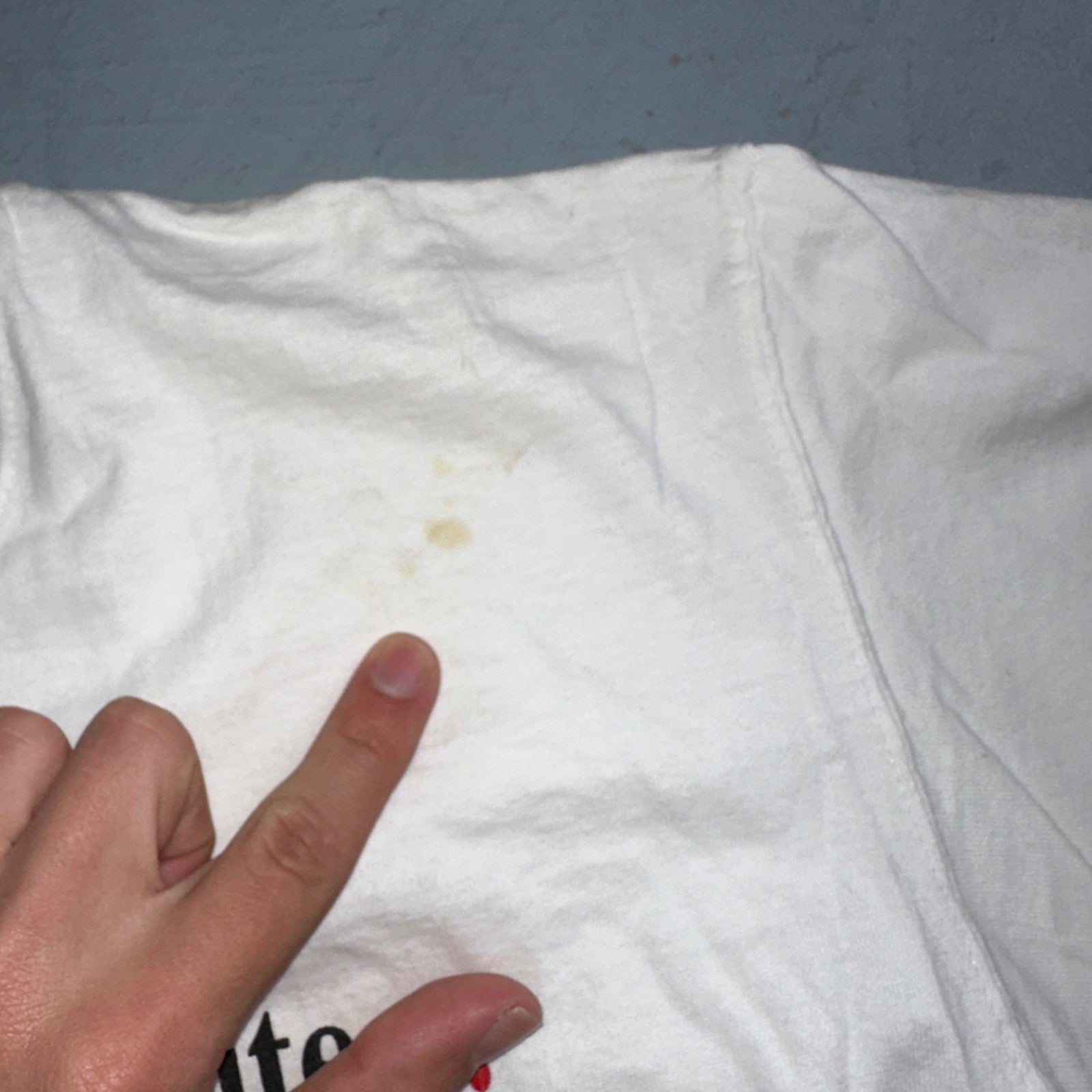 Jesus God VTG T Shirt Sodomite End Of World Genesis Earth Bible Study Graphic