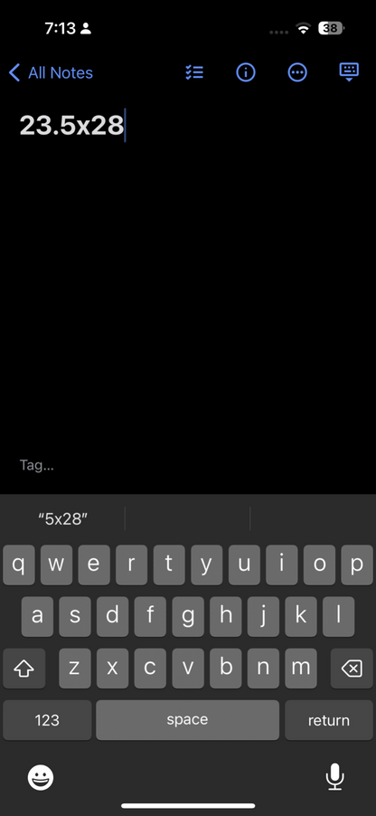 Oneita Flowers VTG T Shirt Art Deco Art Painting Photograph Aesthetic Chill USA