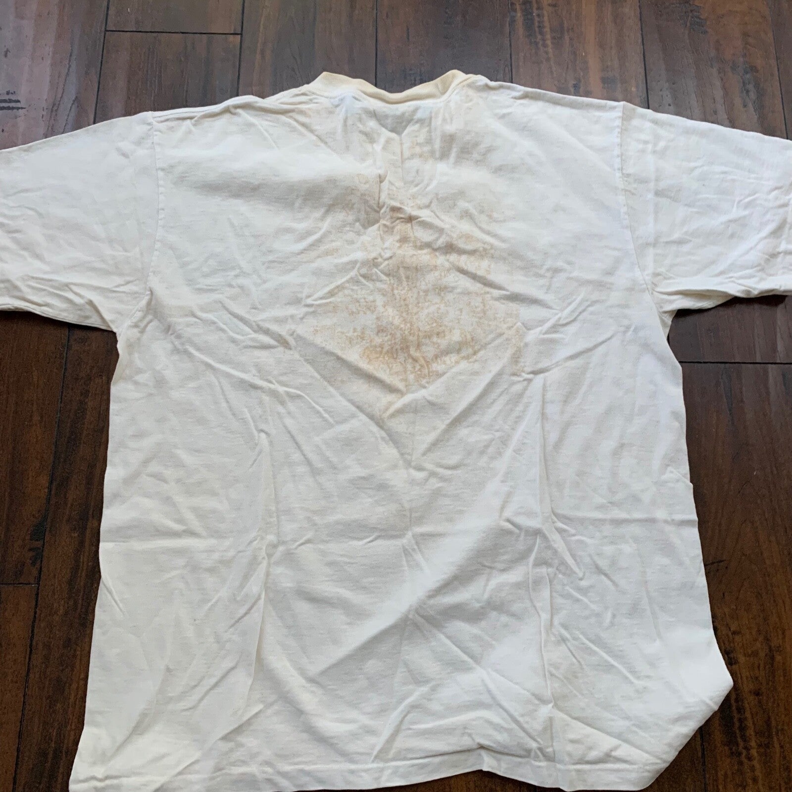 I Got Fresh Vintage T Shirt Nevada Fruits Market Garden Food Fun Humble 90s Rap