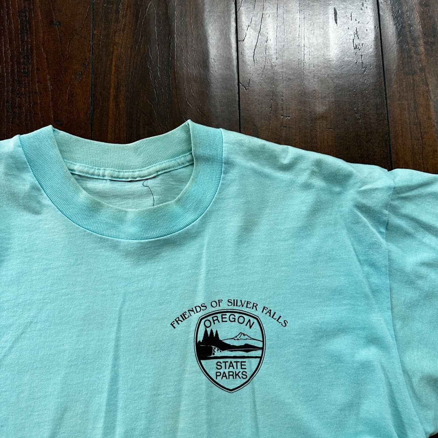 Silver Falls Oregon VTG T Shirt Single Stitch Blue Swimming Boat Cool Teal