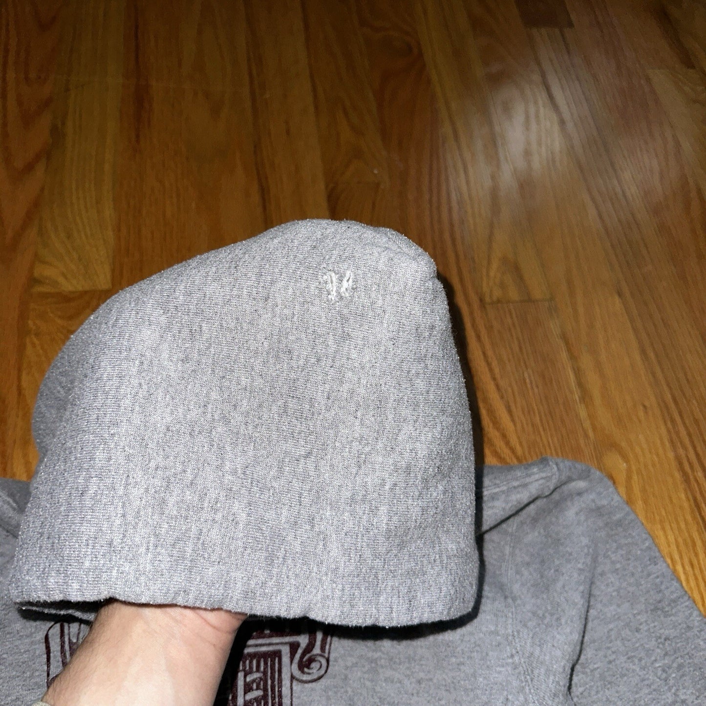 University Chicago Laboratory Schools Russell Athletics Hoodie Champion 90s USA