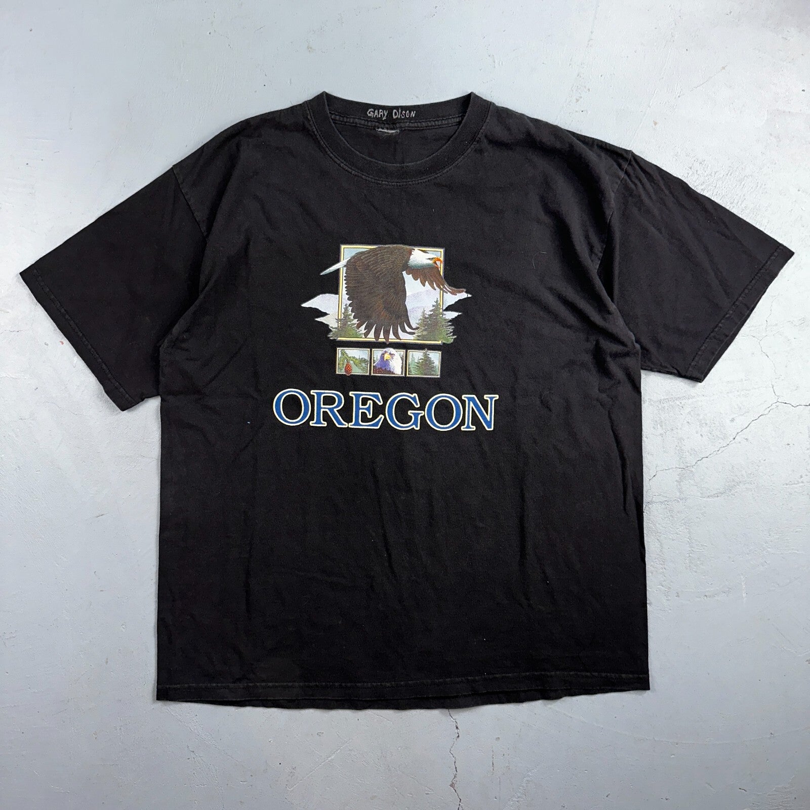 Oregon Eagle VTG T Shirt Forest Hiking USA Travel Portland Animal Hawks Y2K