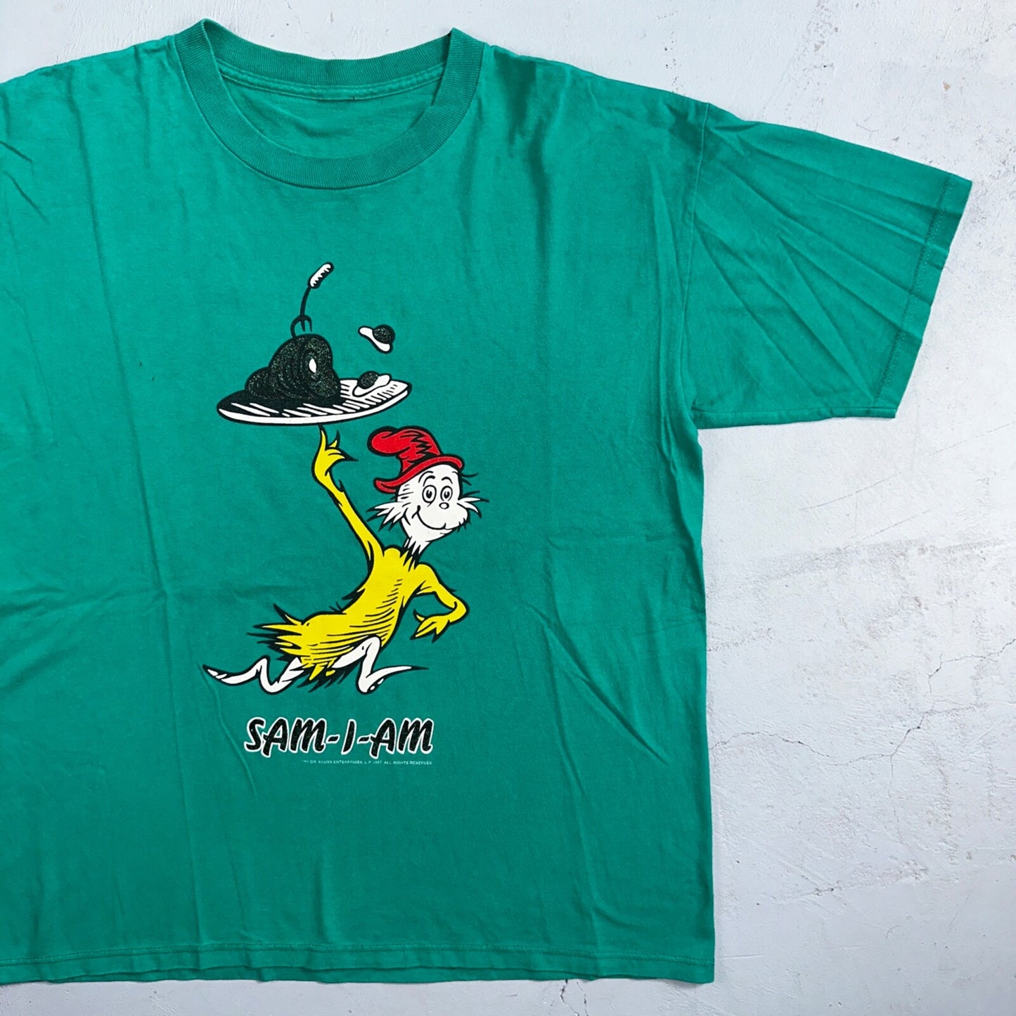 Dr Seuss VTG T Shirt Sam I Am 1997 90s Green Cat In The Hat Art Cartoon Rare