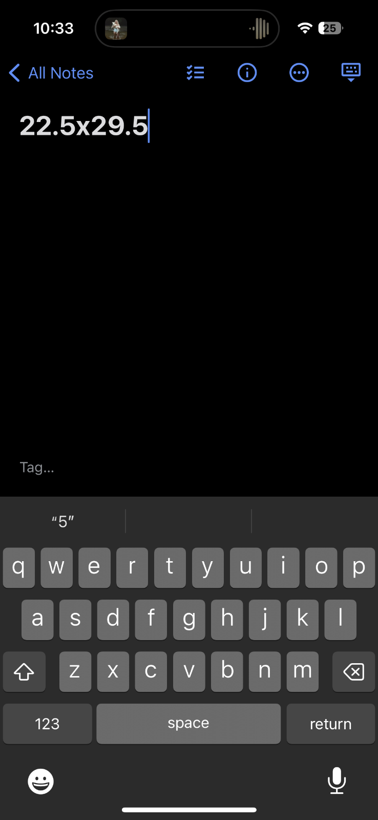 VTG Portland Trailblazers Shirt Mens Large Red Y2K Red Hot Rollin 2000s NBA