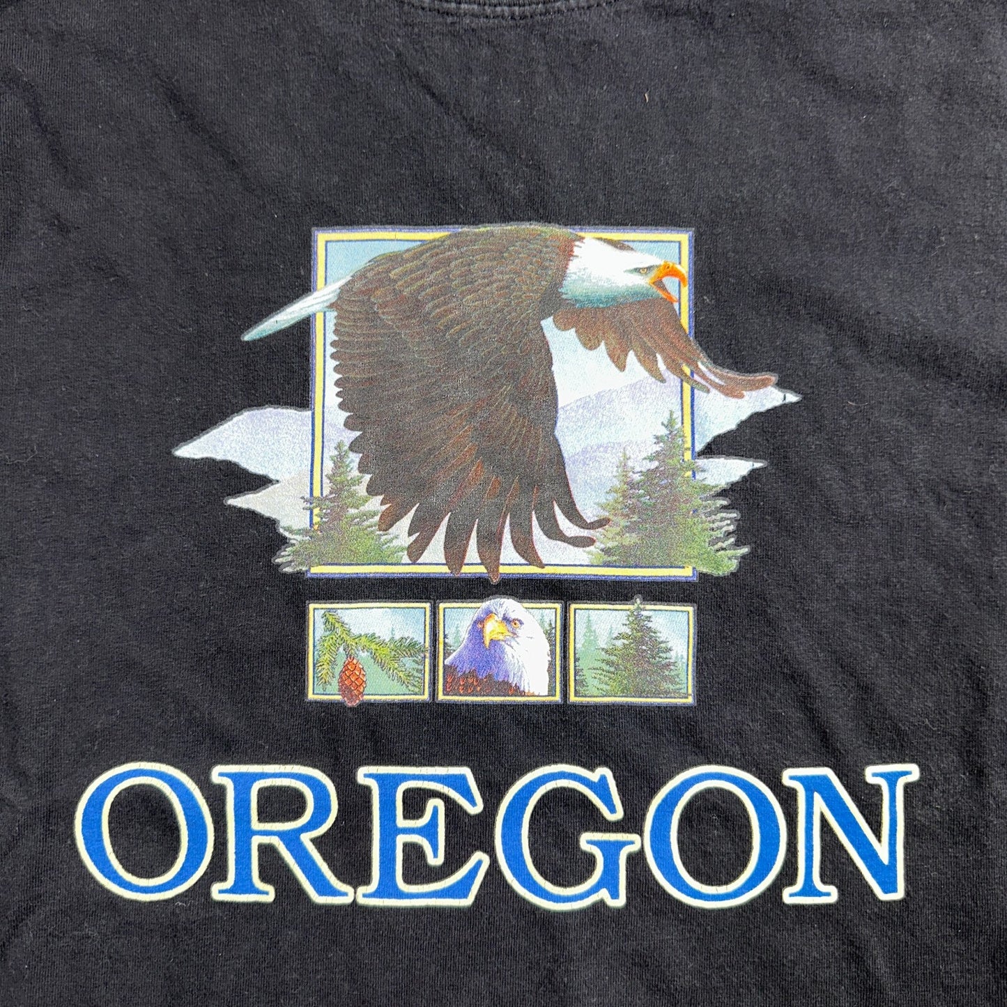 Oregon Eagle VTG T Shirt Forest Hiking USA Travel Portland Animal Hawks Y2K