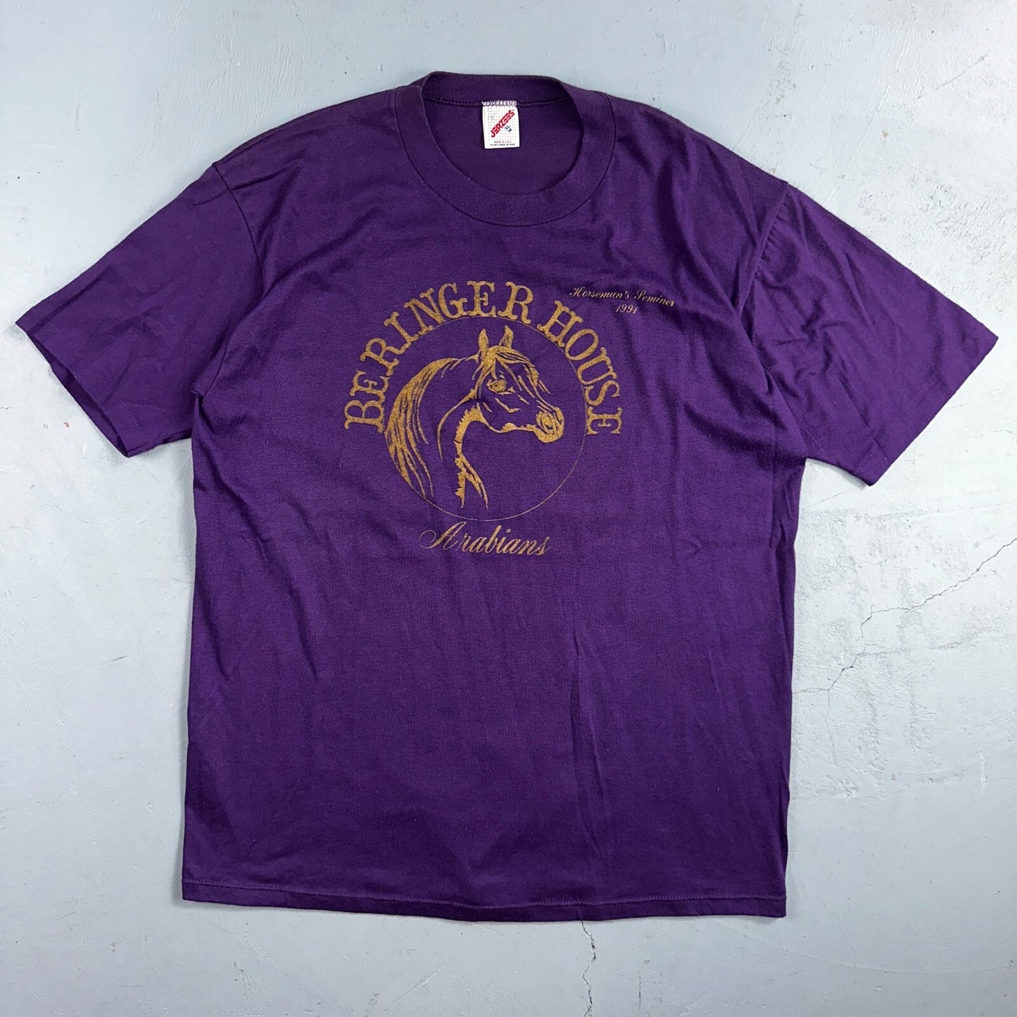 Hores Beringer VTG T Shirt Arabians 1991 90s Purple Animals Trophy Graphic XL